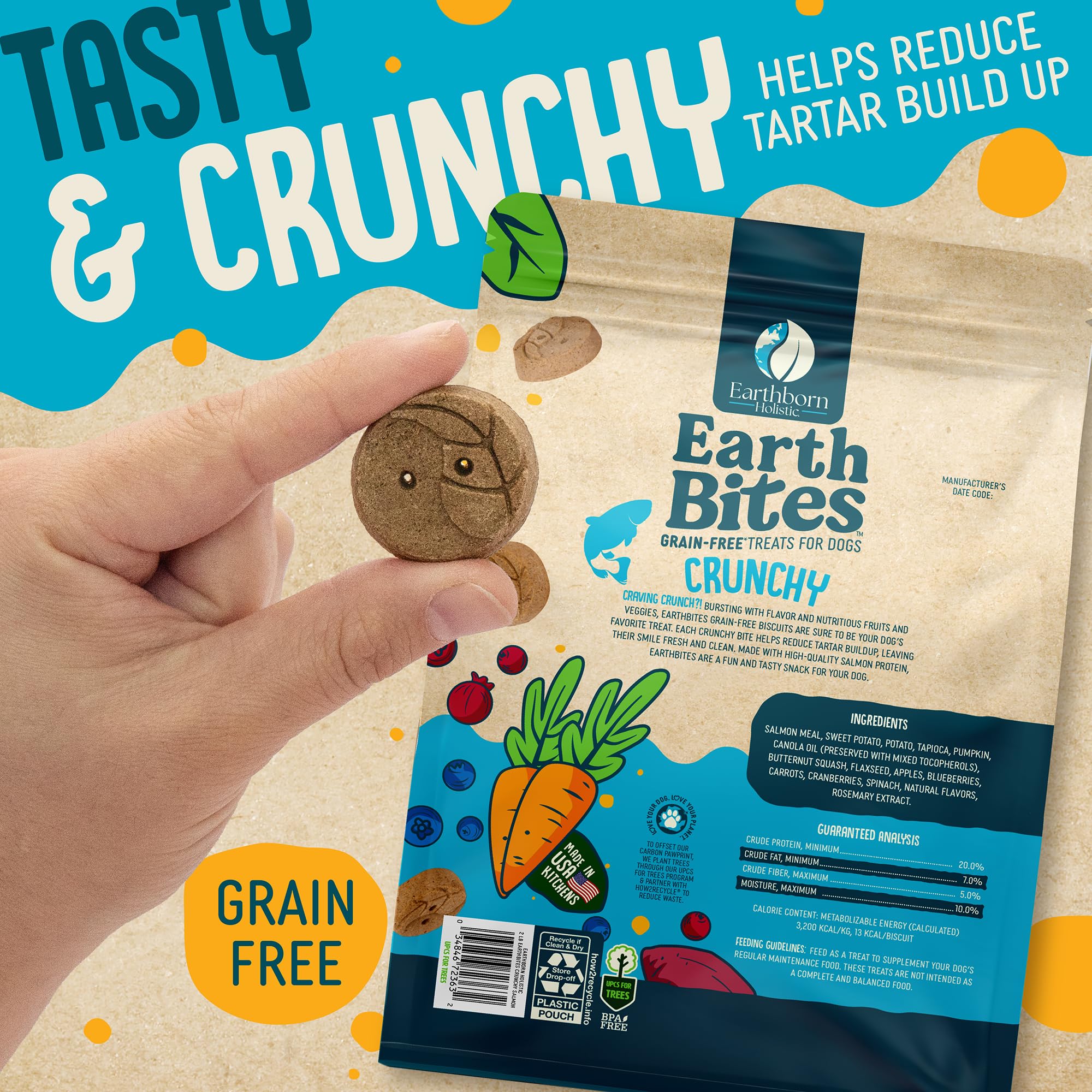 Earthborn Holistic EarthBites Crunchy Grain-Free Dog Treats with Salmon 2 lb