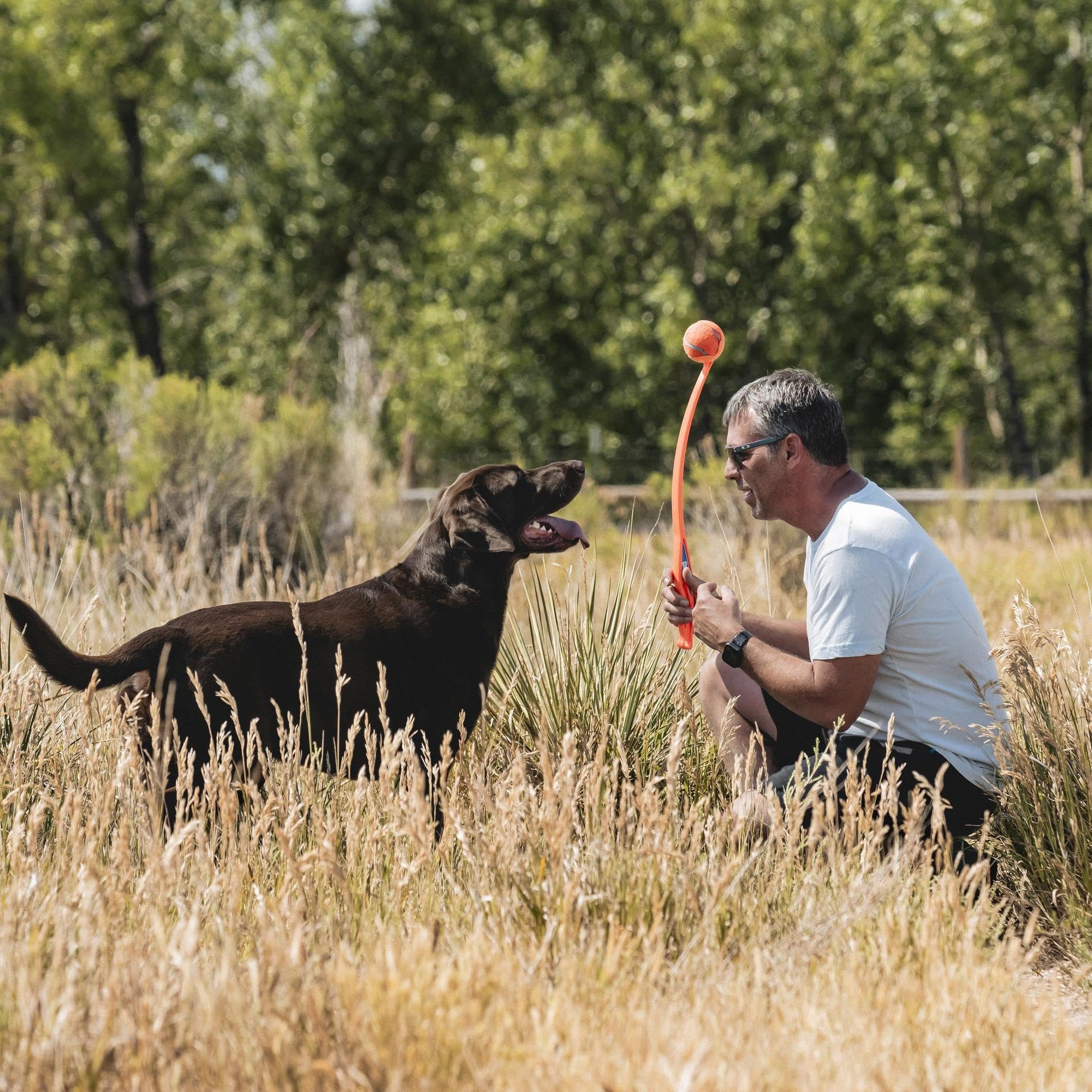Chuckit! Sport 26L Dog Ball Launcher - Includes A 3-Inch Diameter Large Ball For Dogs 60-100 Pounds - Manual Thrower For Tennis Balls With A Slim Ergonomic Handle - 26-Inch Length