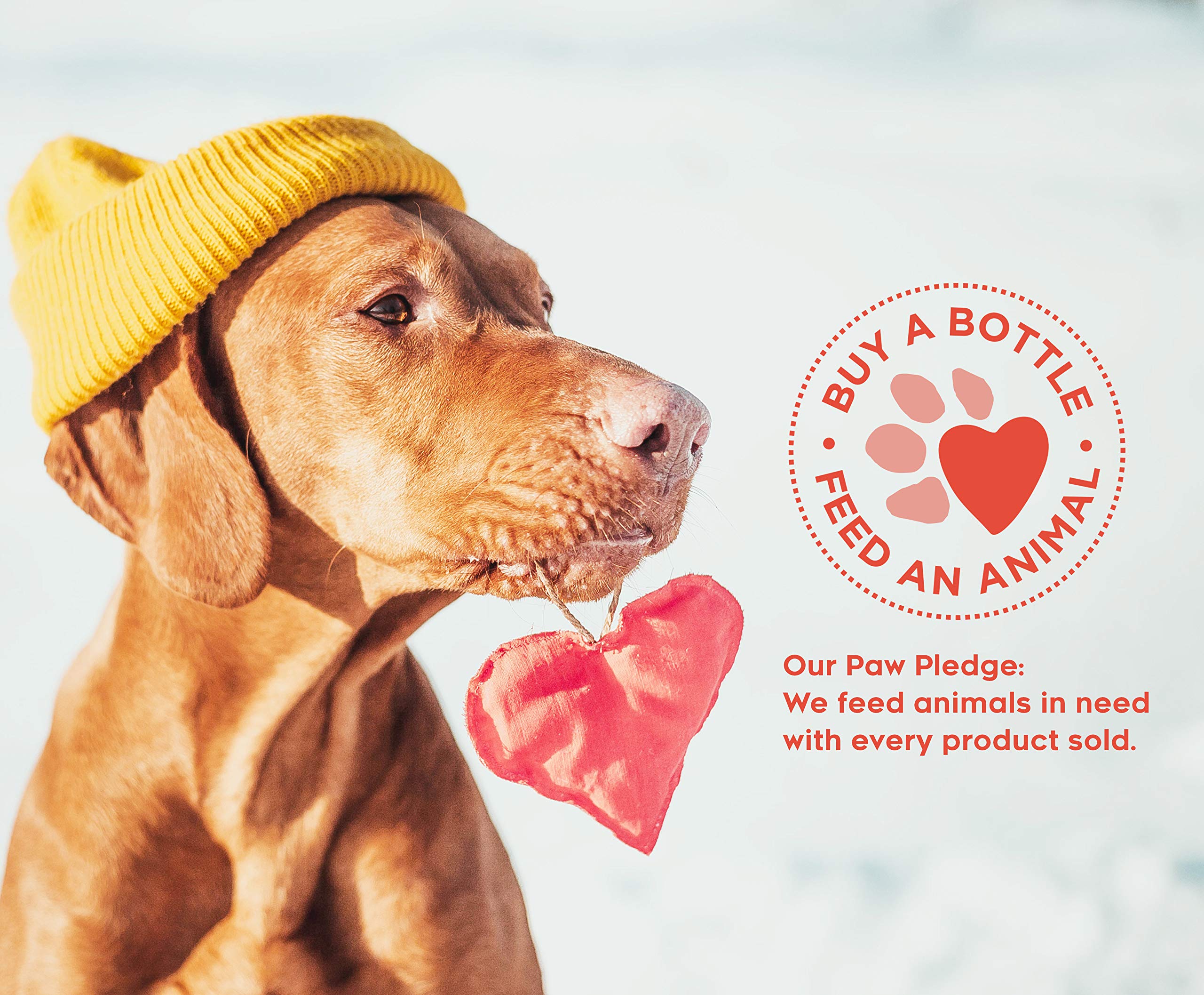 M.BARC Naturals Itch Relief Oatmeal for Dogs & Cats, 8 oz (2-Pack)