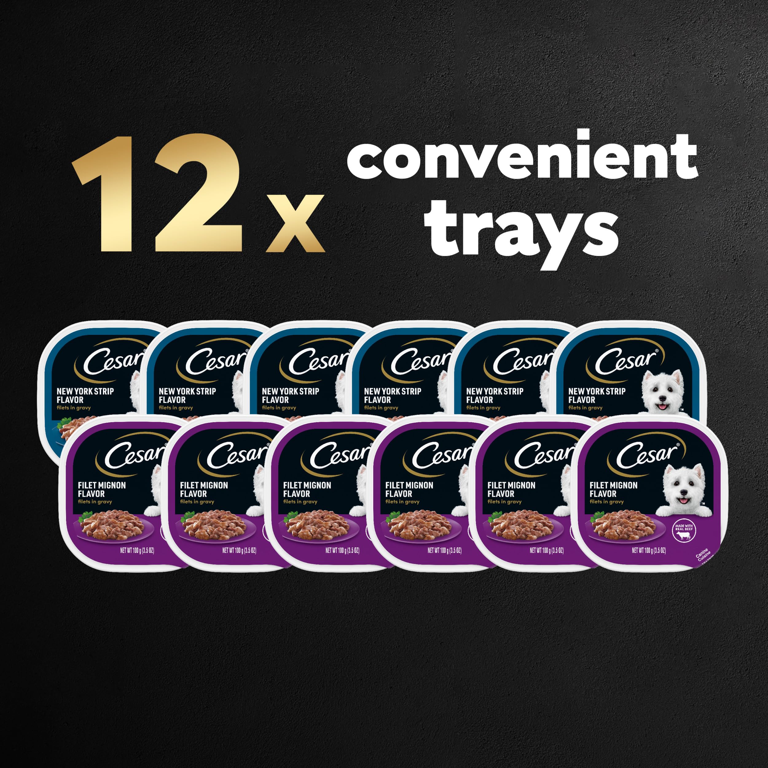 CESAR Filets in Gravy Adult Wet Dog Food Variety Pack, Filet Mignon and New York Strip Flavors, 3.5 oz Trays, 12 Count