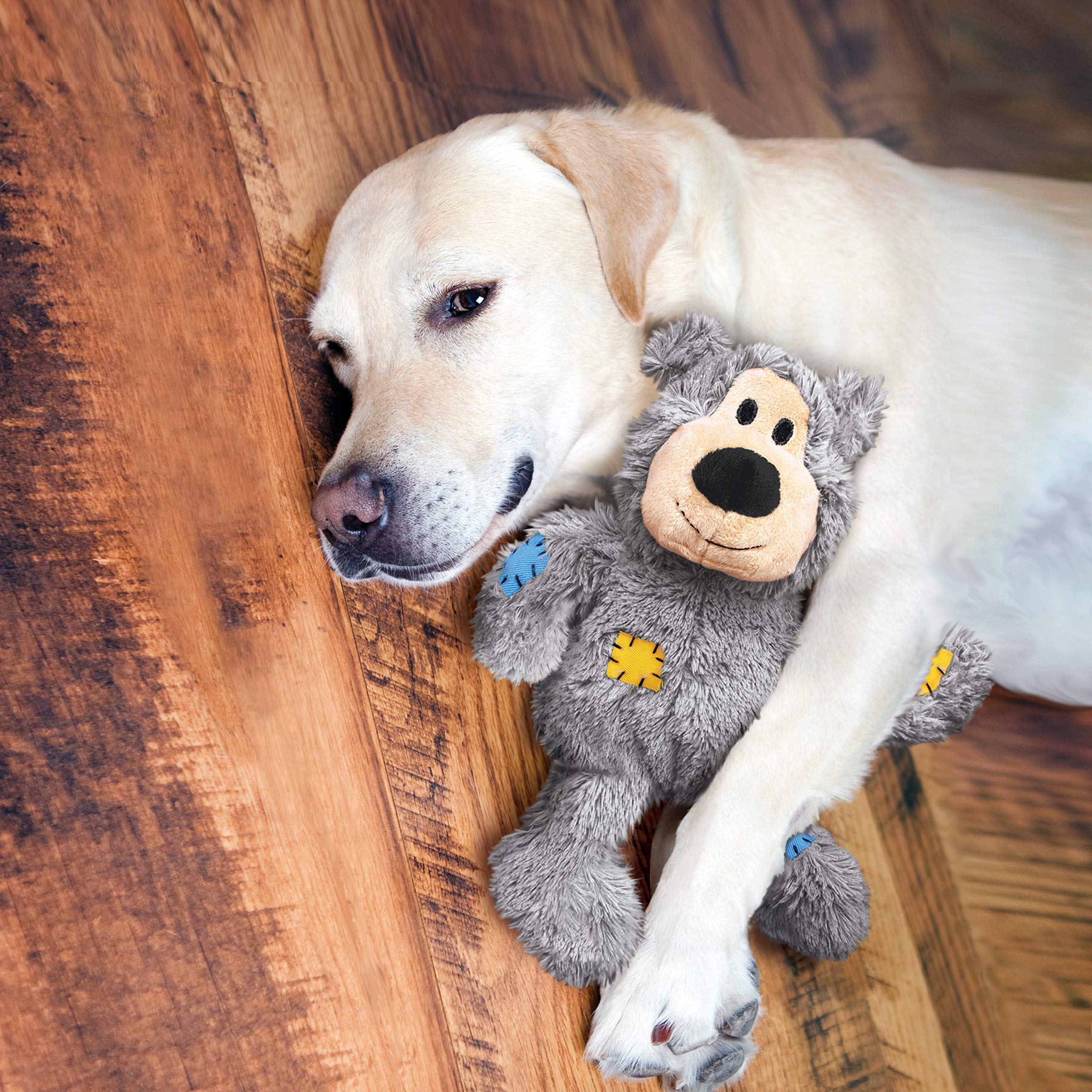 Kong - Wild Knots Bear - Internal Knotted Ropes And Minimal Stuffing For Less Mess (Assorted Colors) - For X-Small Dogs