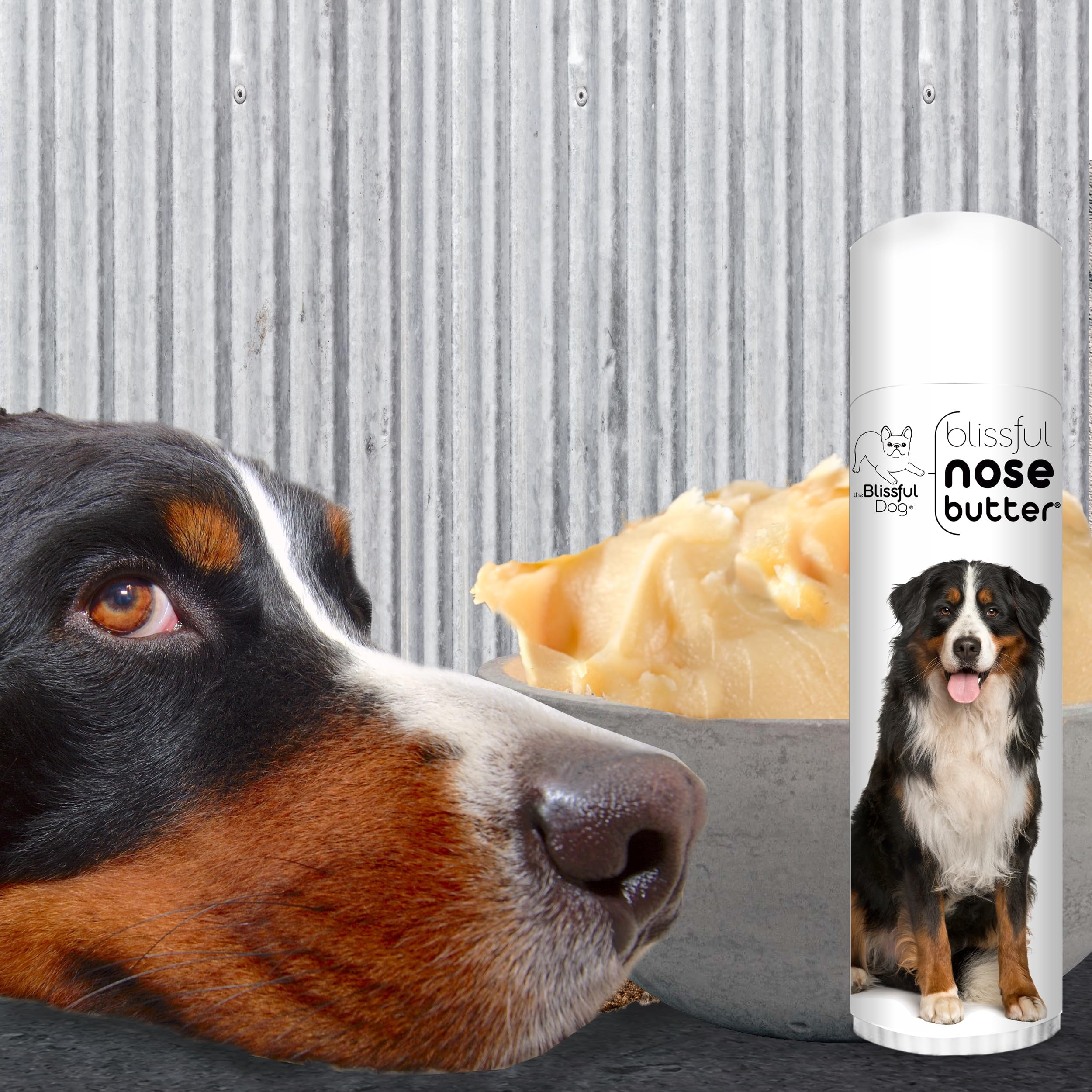 The Blissful Dog Bernese Mountain Dog Nose Butter, Versatile Dog Nose Balm for Dry Nose, Handcrafted Nose Moisturizer, Easy-to-A