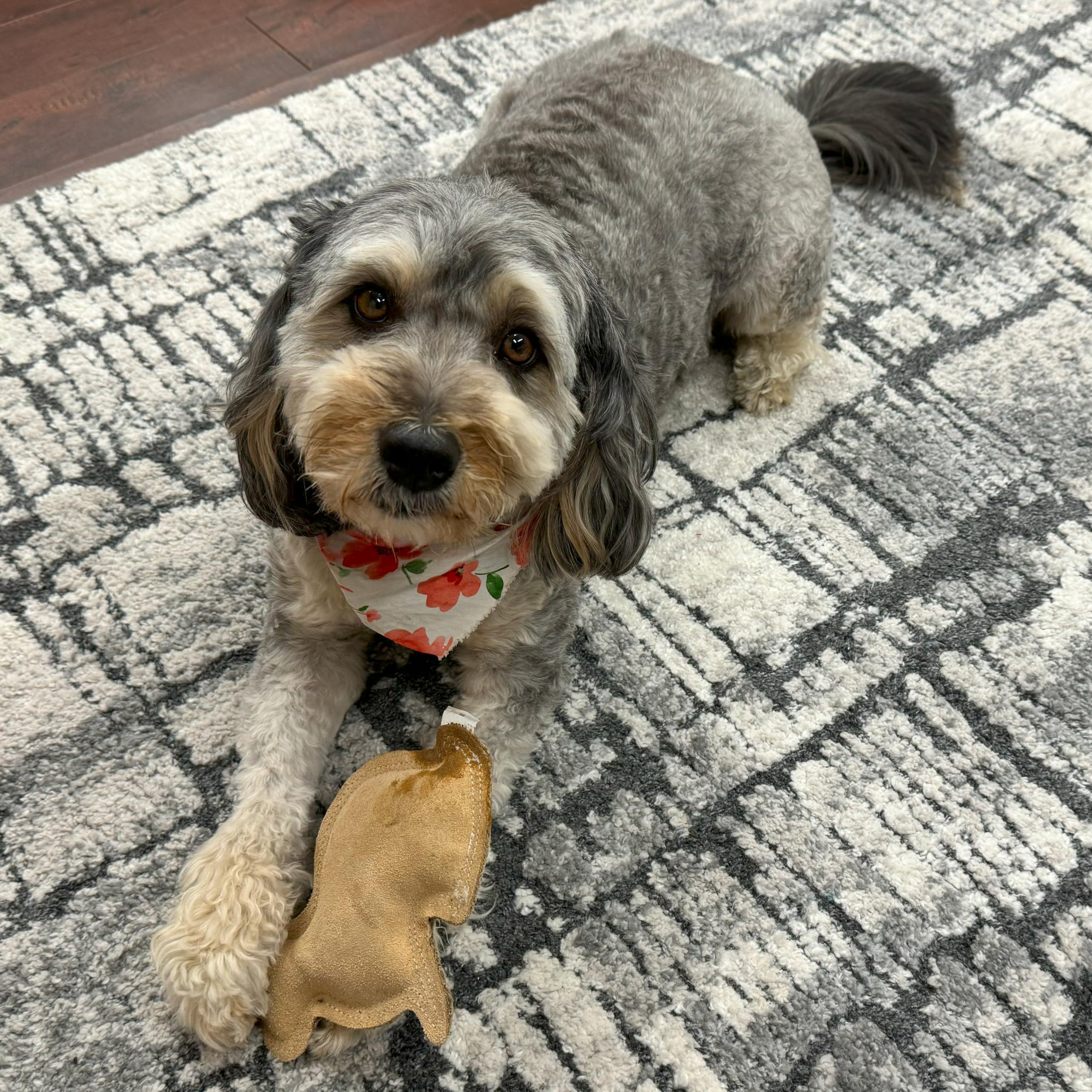 SPOT Dura-Fused Leather Rabbit - Durable Dog Toy with Squeaker, Real Leather & Jute Fabric, Interactive Toy for Moderate & Aggre