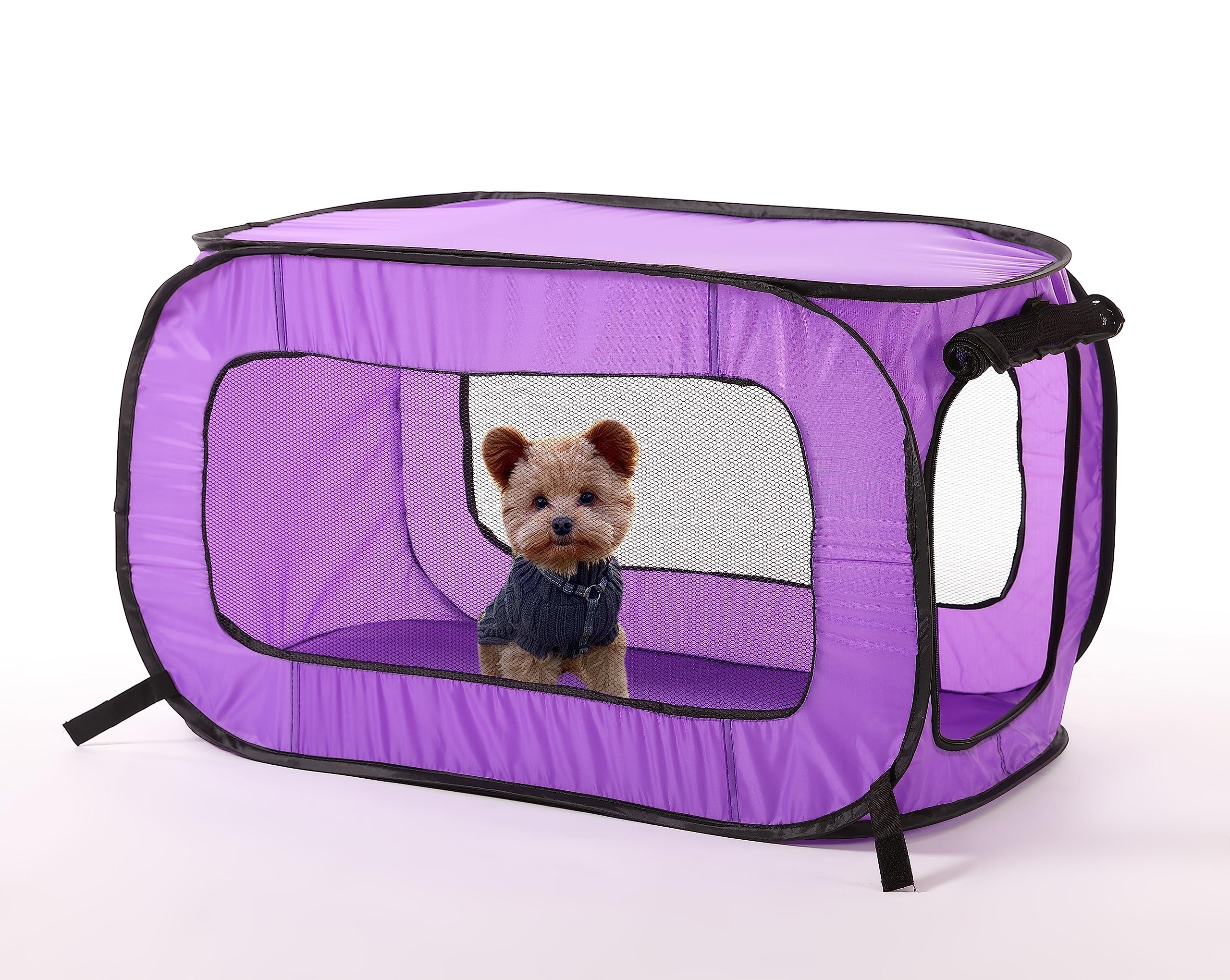 Beatrice Home Fashions Portable, Collapsible, Pop Up Kennel Travel Cat And Dog Crate, 40' L X 27' W X 27' H, Purple