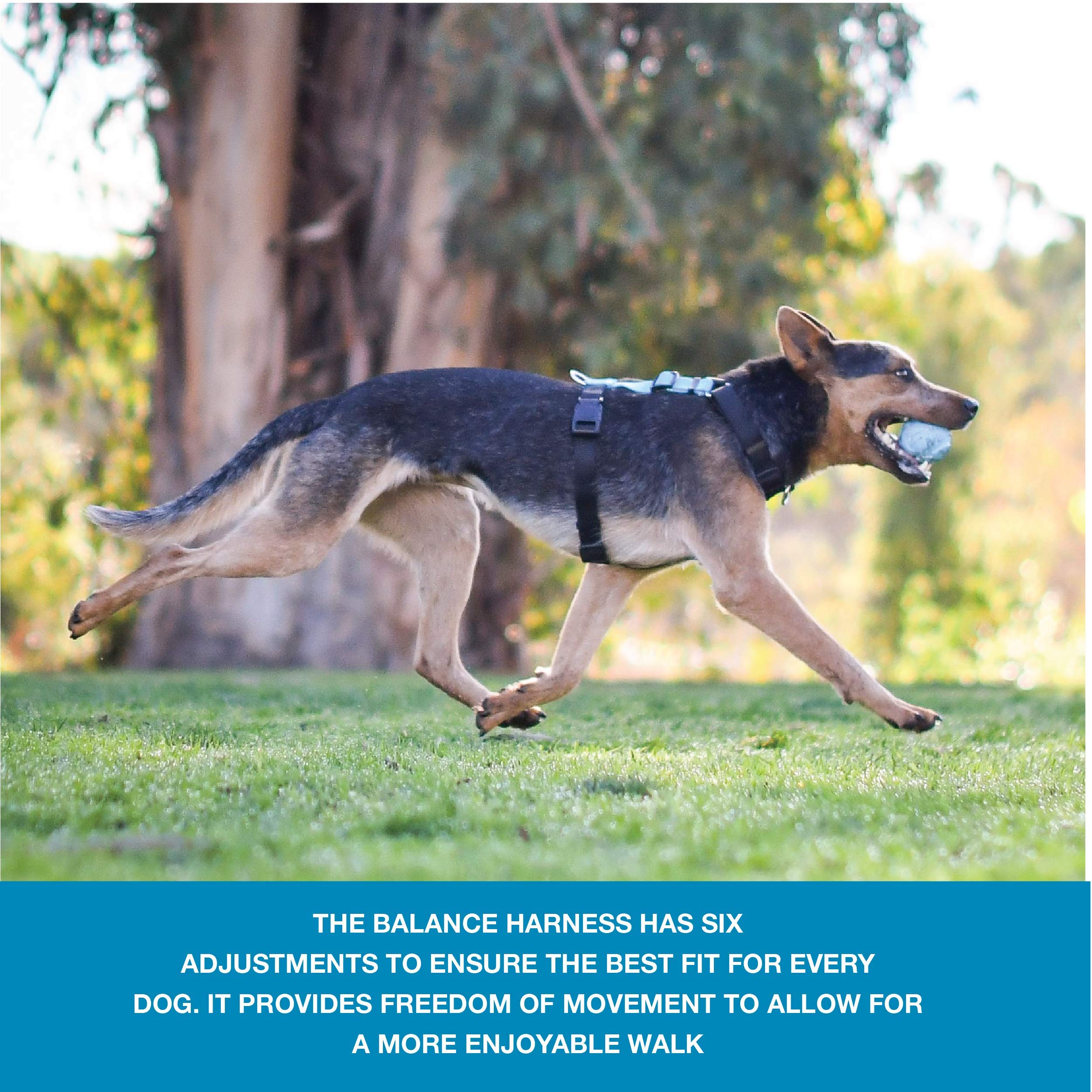 Blue-9 Pet Products No-Pull Balance Harness And Loose Leash Walking Set Dogs, Made In The Usa, Red, Medium/Large