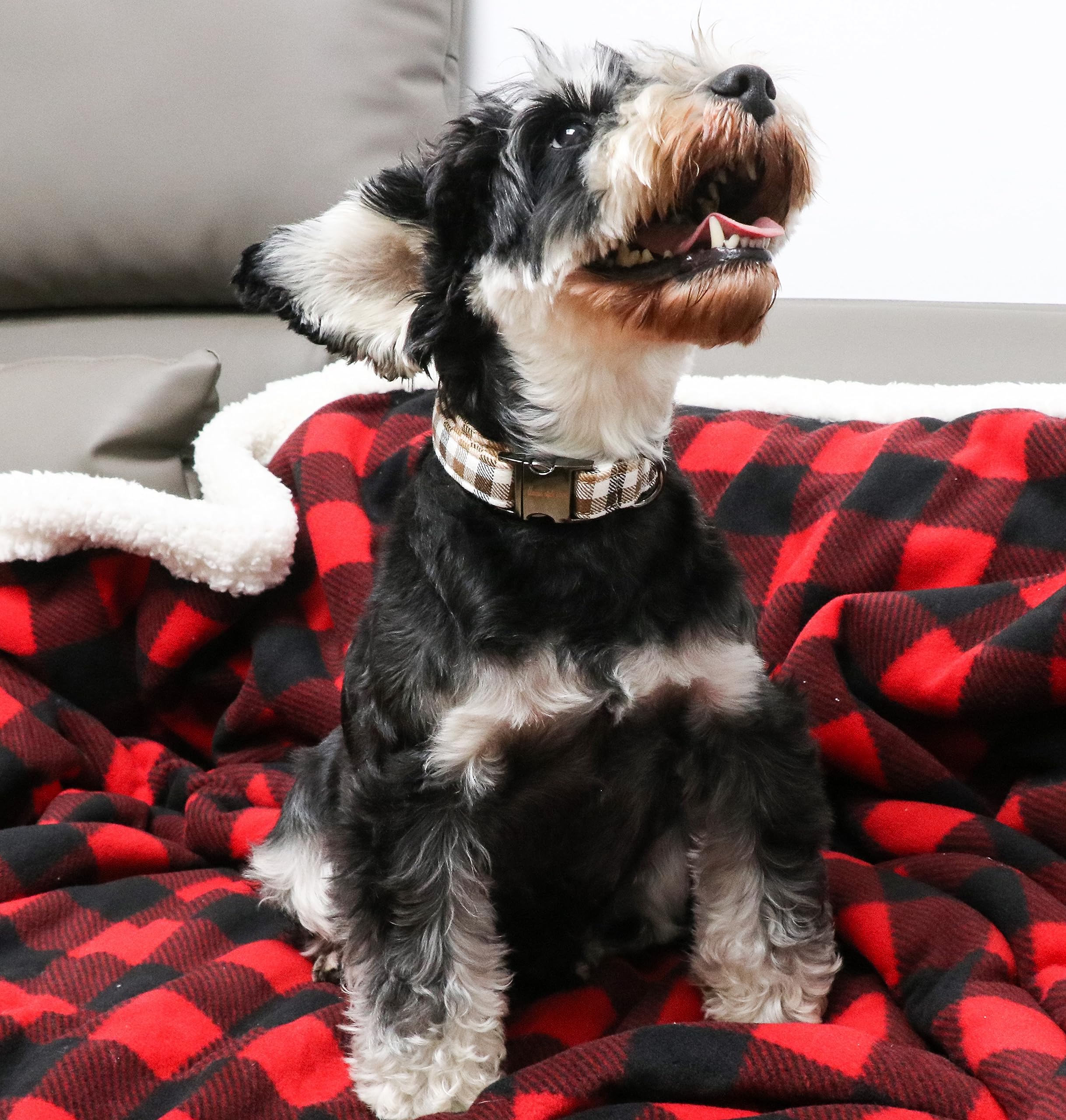 Unique Style Paws Dog Collar Metal Buckle Brown Plaid Collar Gift Durable Cute Collar For Small Medium Large Boys Girls Dogs