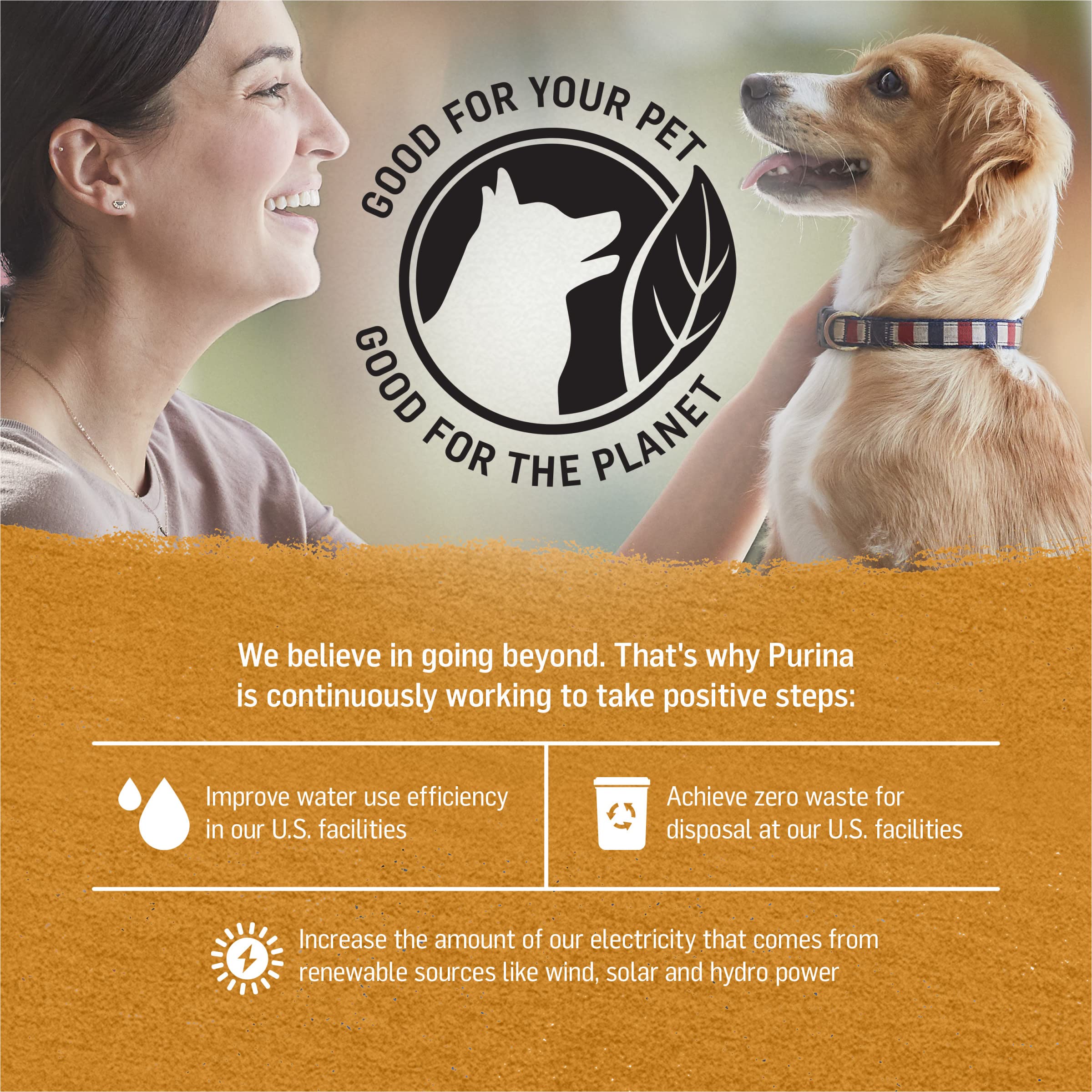 Purina Beyond Chicken and Sweet Potato in Gravy Grain Free Wet Dog Food - (Pack of 12) 12.5 oz. Cans