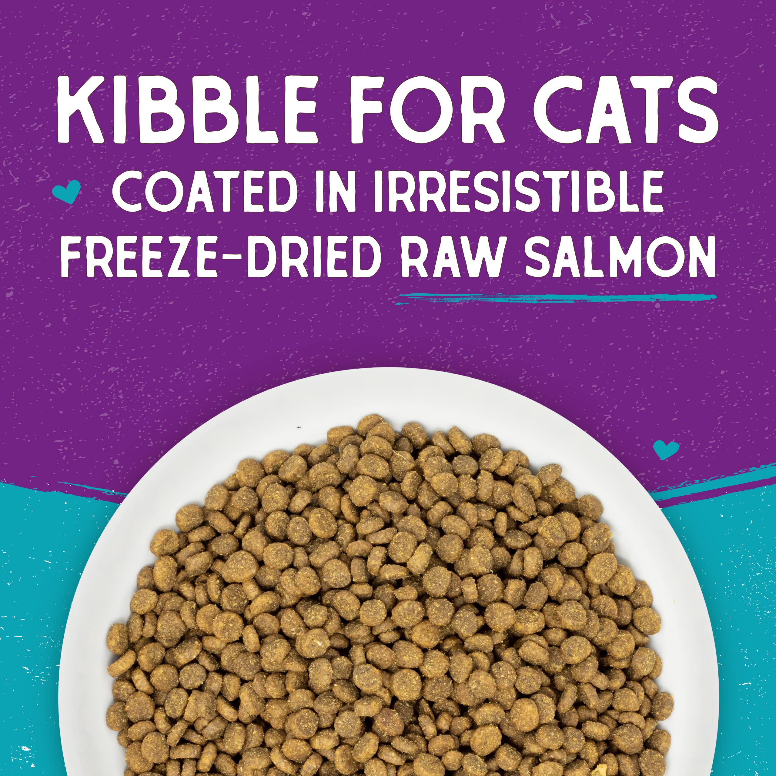 Stella & Chewys Raw Coated Cat Food - High Protein, Grain-Free Kibble with Wild-Caught Salmon - Premium Digestive Support with
