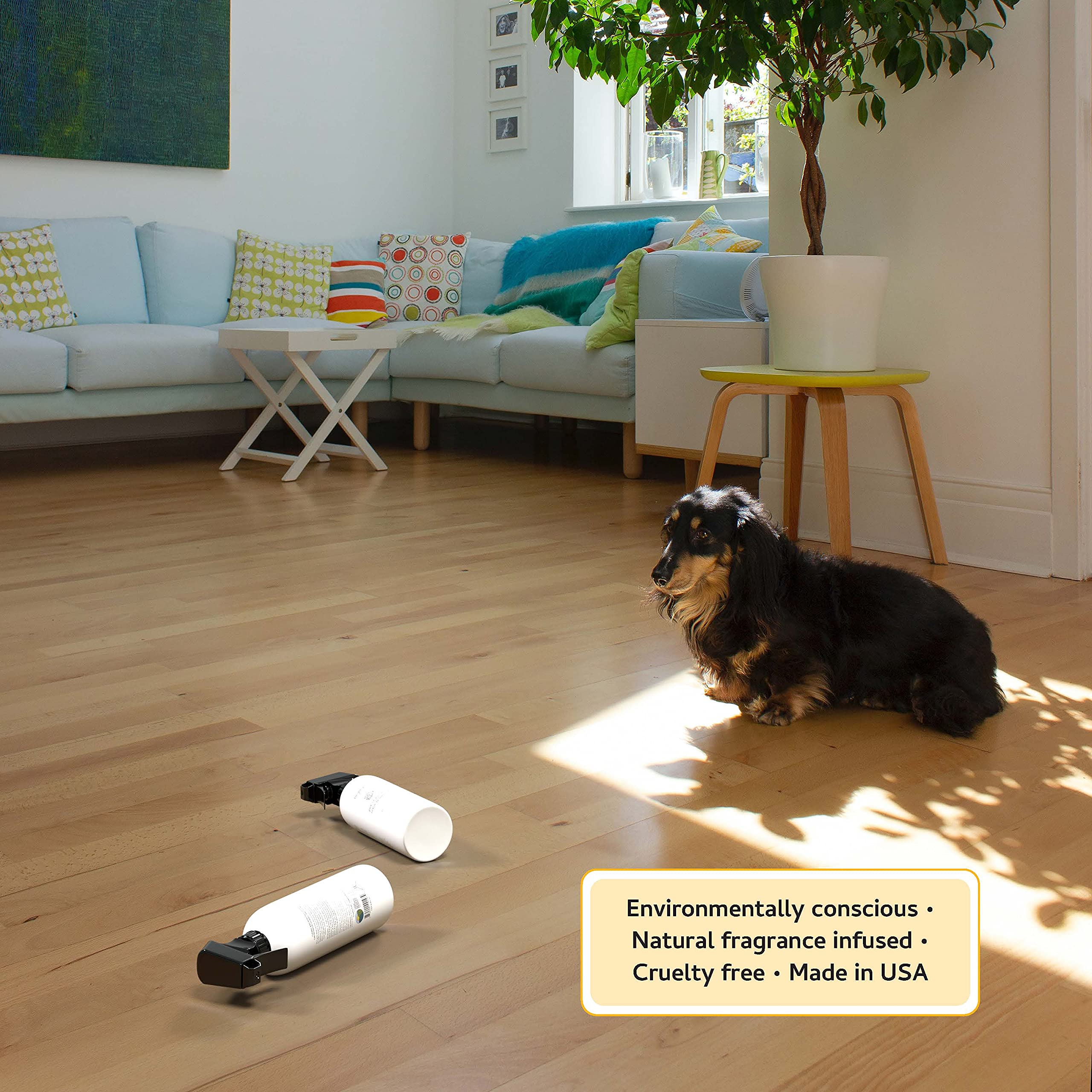 Begley'S Pet Stain And Odor Remover - Pet Odor Eliminator For Home - Pet Urine Enzyme Cleaner - Pet Carpet Cleaner For Pets - Enzymatic Cleaner For Dog Urine, Cat Pee, Feces - 24 Ounce, 2 Pack