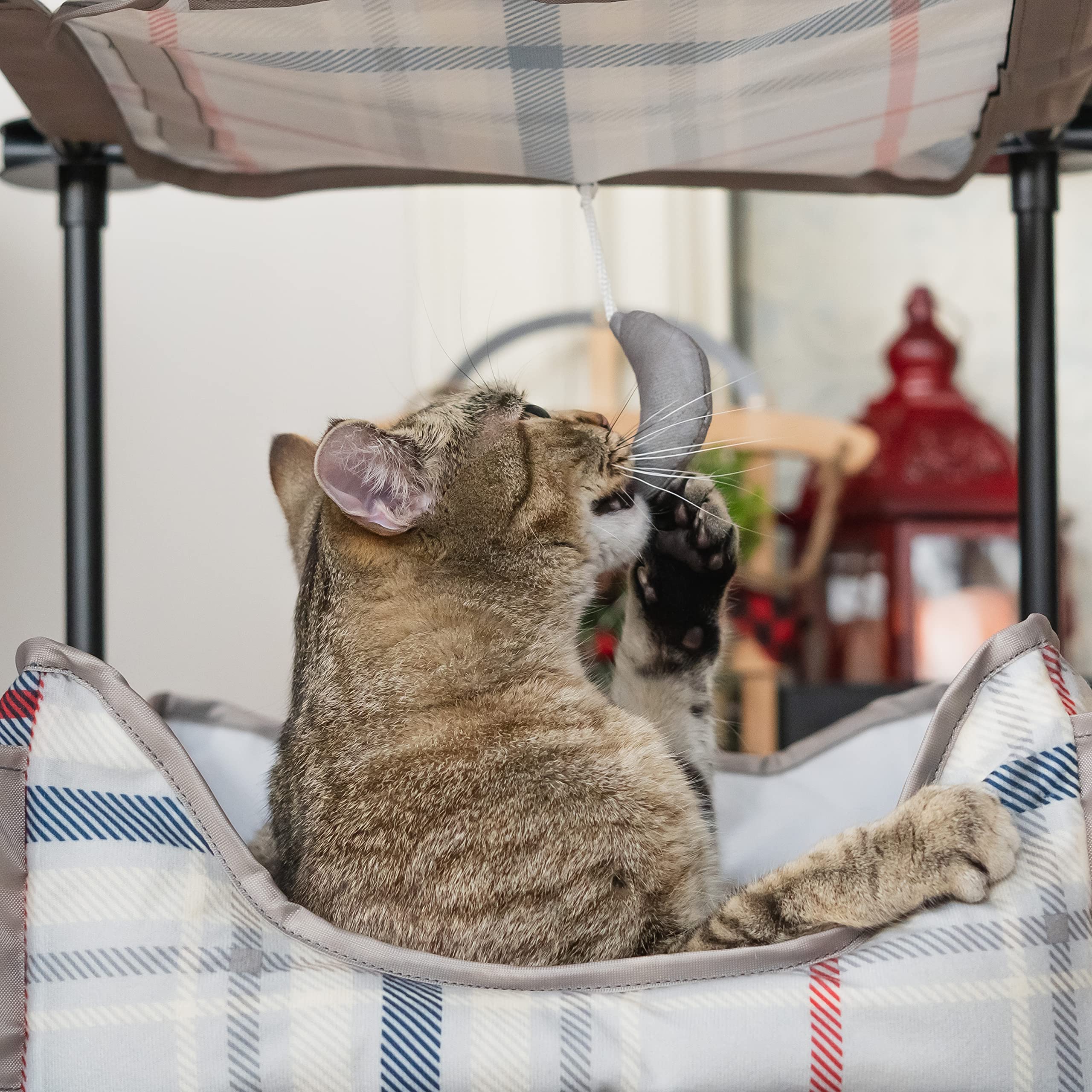 Kitty City Claw Indoor Mega Kit Cat Furniture, Corrugate Cat Scratcher, Cat Bed