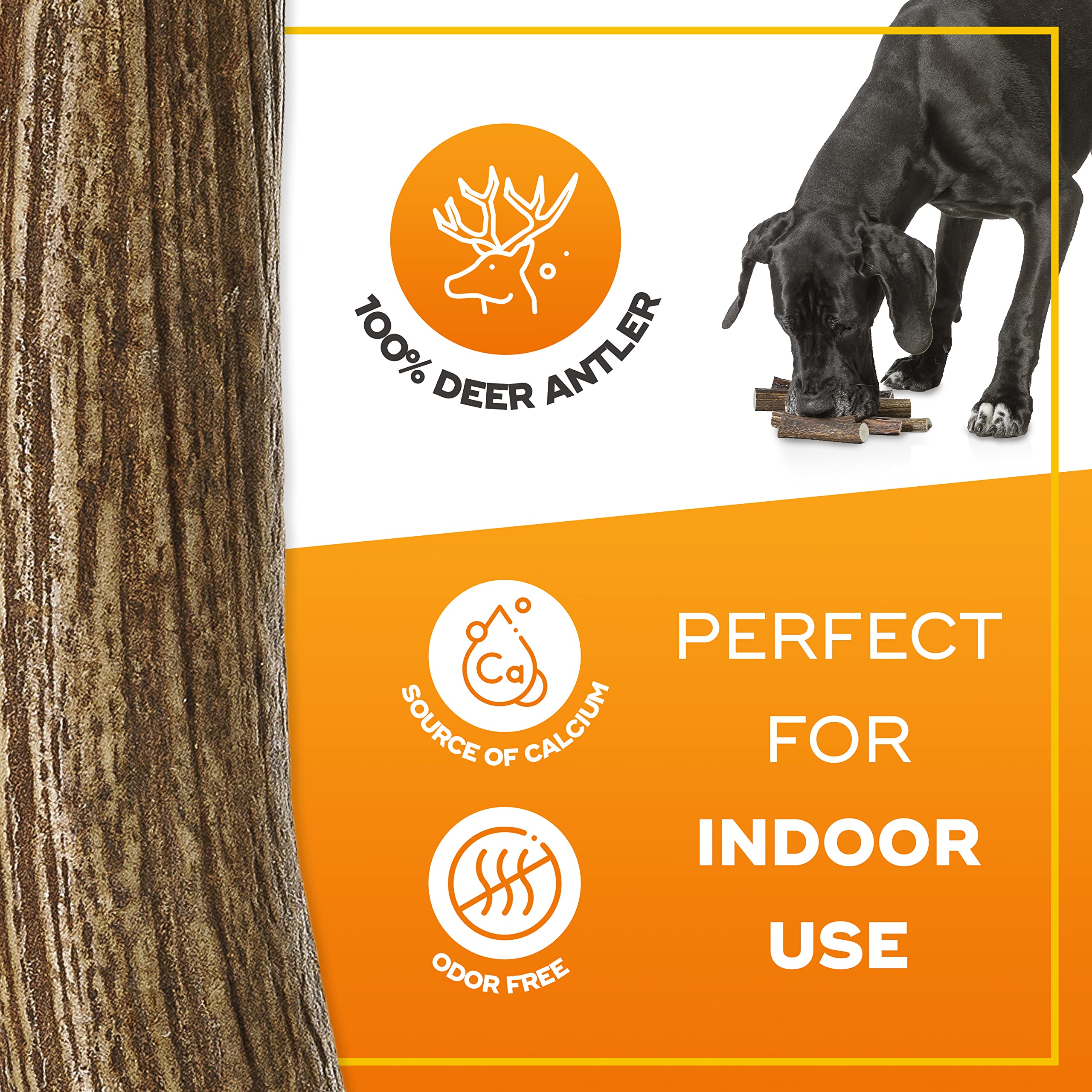 Gigil Treat You Pet Like A King - 100% Natural Deer Antlers For Large Dogs - Premium Elk Antlers - Long Lasting Dog Chew Toy - Naturally Shed And Organic Antlers For Dogs - Size Xl