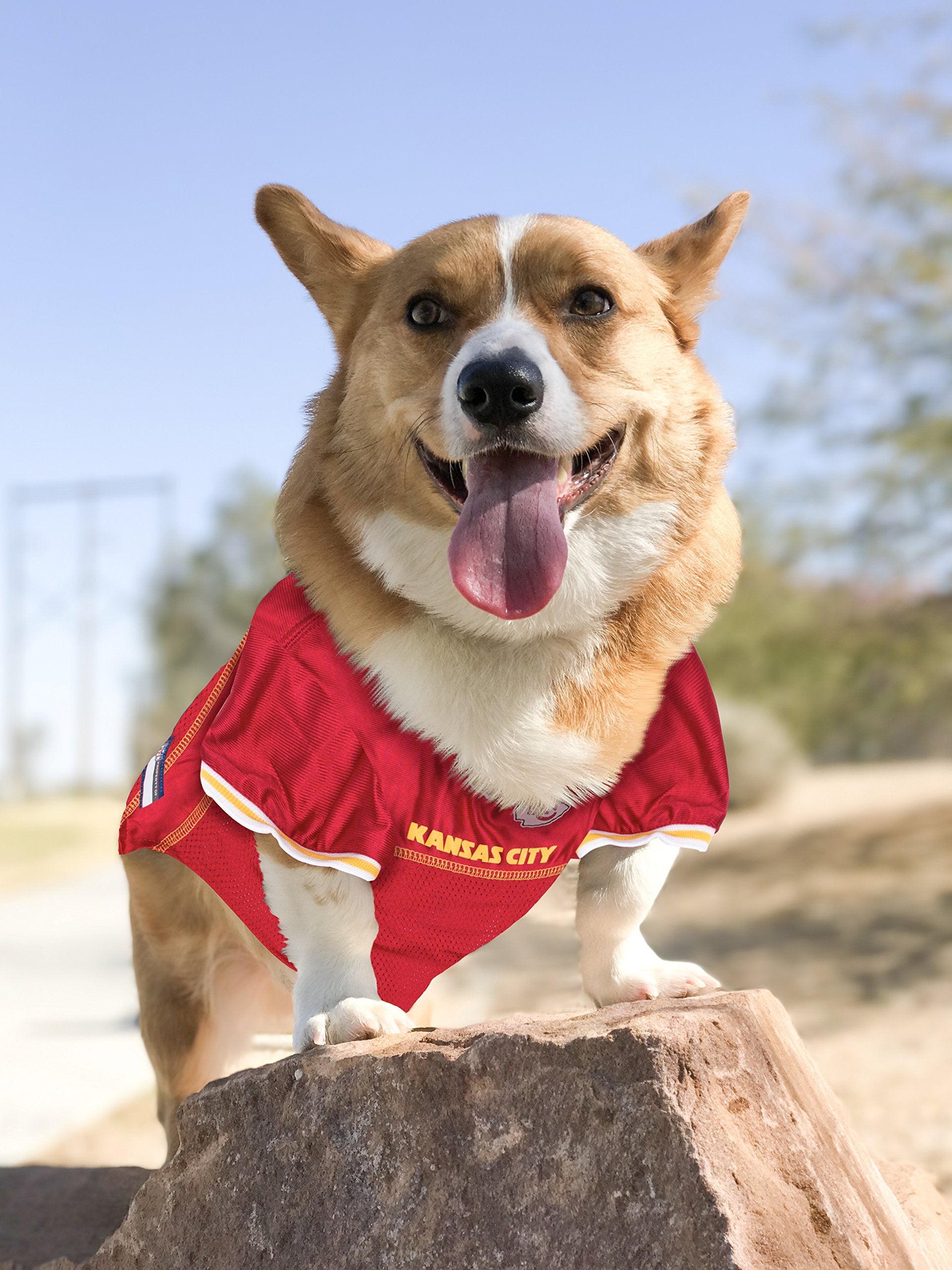 Nfl Kansas City Chiefs Dog Jersey, Size: Medium. Best Football Jersey Costume For Dogs & Cats. Licensed Jersey Shirt