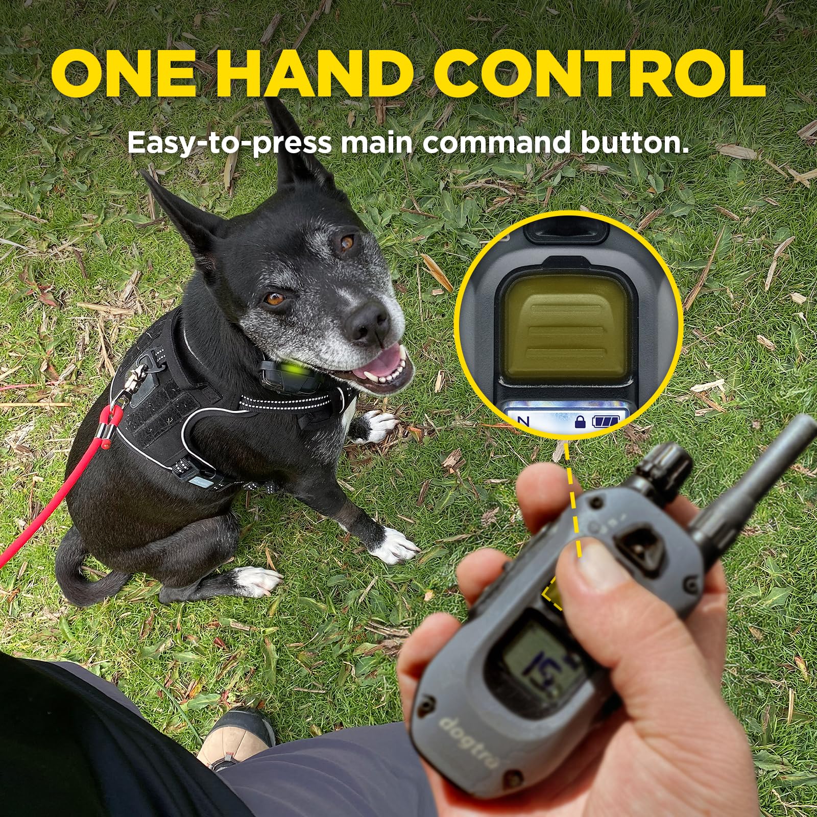 Dogtra 280X 2-Dogs E-Collar with Remote [New Edition] 10 lbs+, 1/2 Mile Range, LED Light, 100 Levels of Control for Stubborn Dog