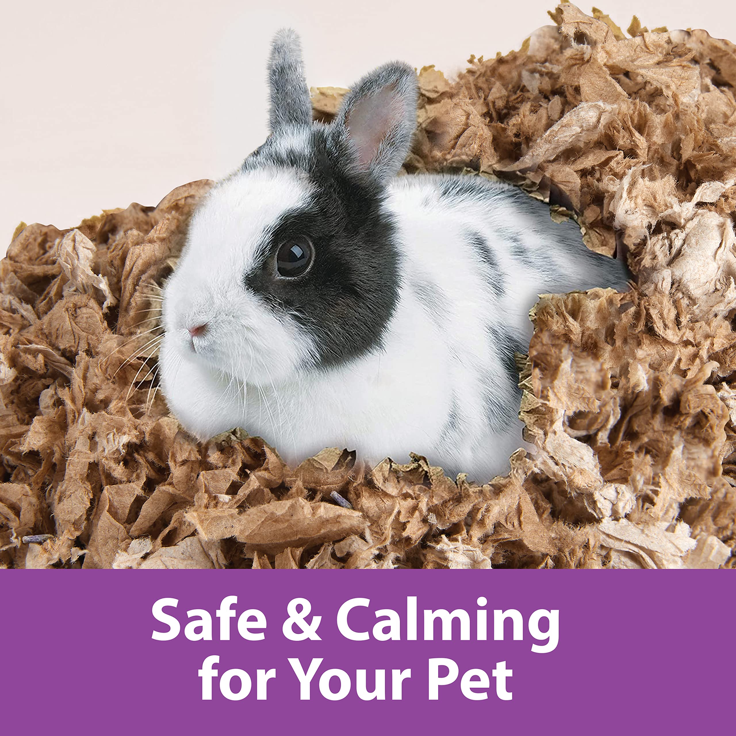 Kaytee Clean and Cozy Natural Small Pet Bedding with Lavendar
