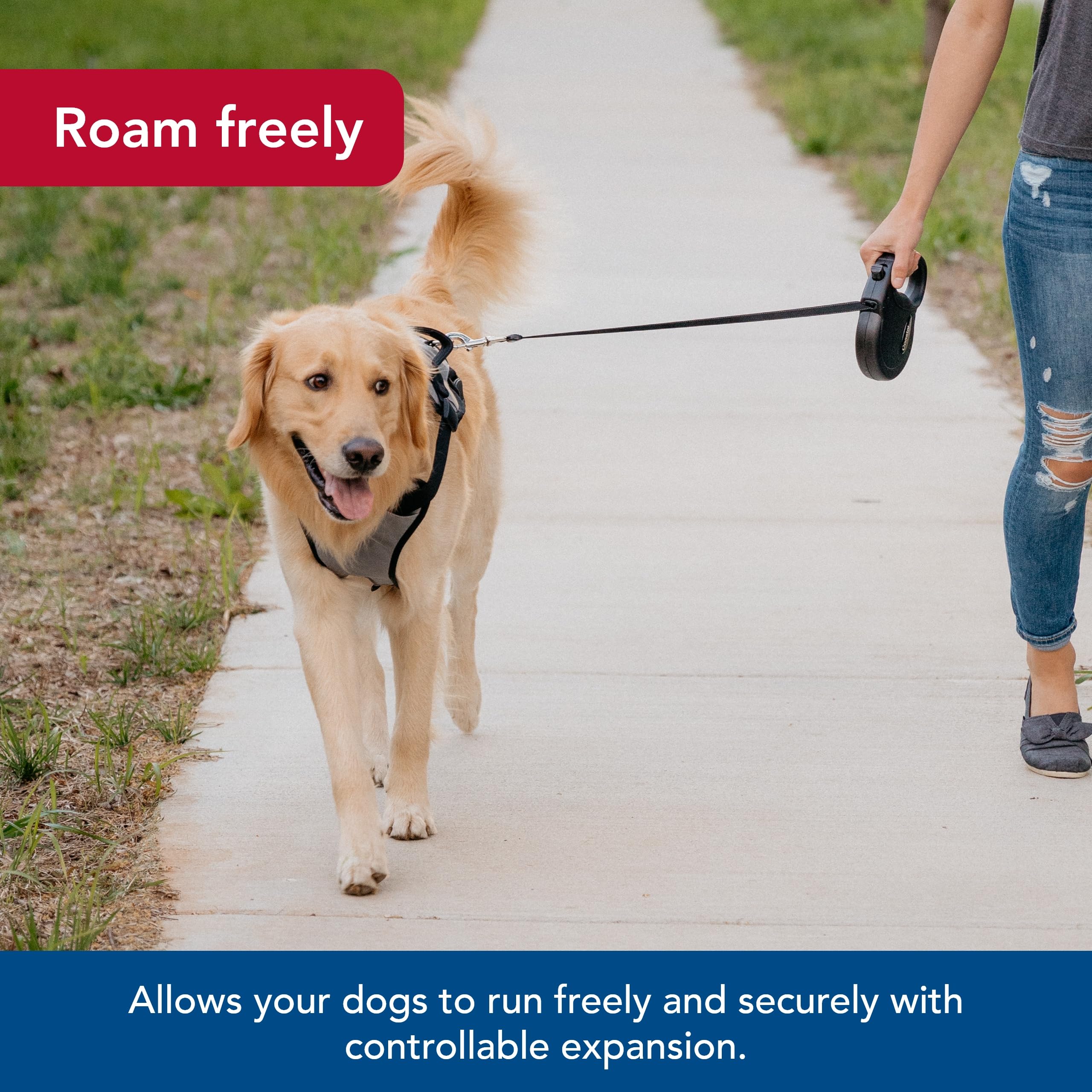 Coastal Pet Power Walker Dog Retractable Leash - Reflective Dog Leash - Stop-And-Release Control Button - Comfort Grip Handle - Black - X-Small