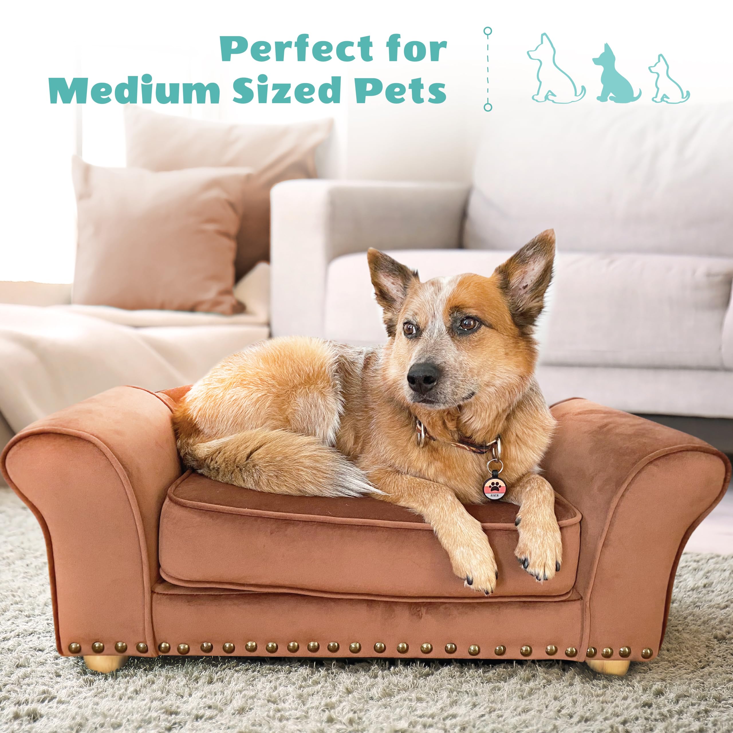 Critter Sitters 34-in. Faux Velvet Sofa in Brown for Medium-Sized Dogs and Cats, Durable and Stylish Dog Bed for Bedroom and Liv