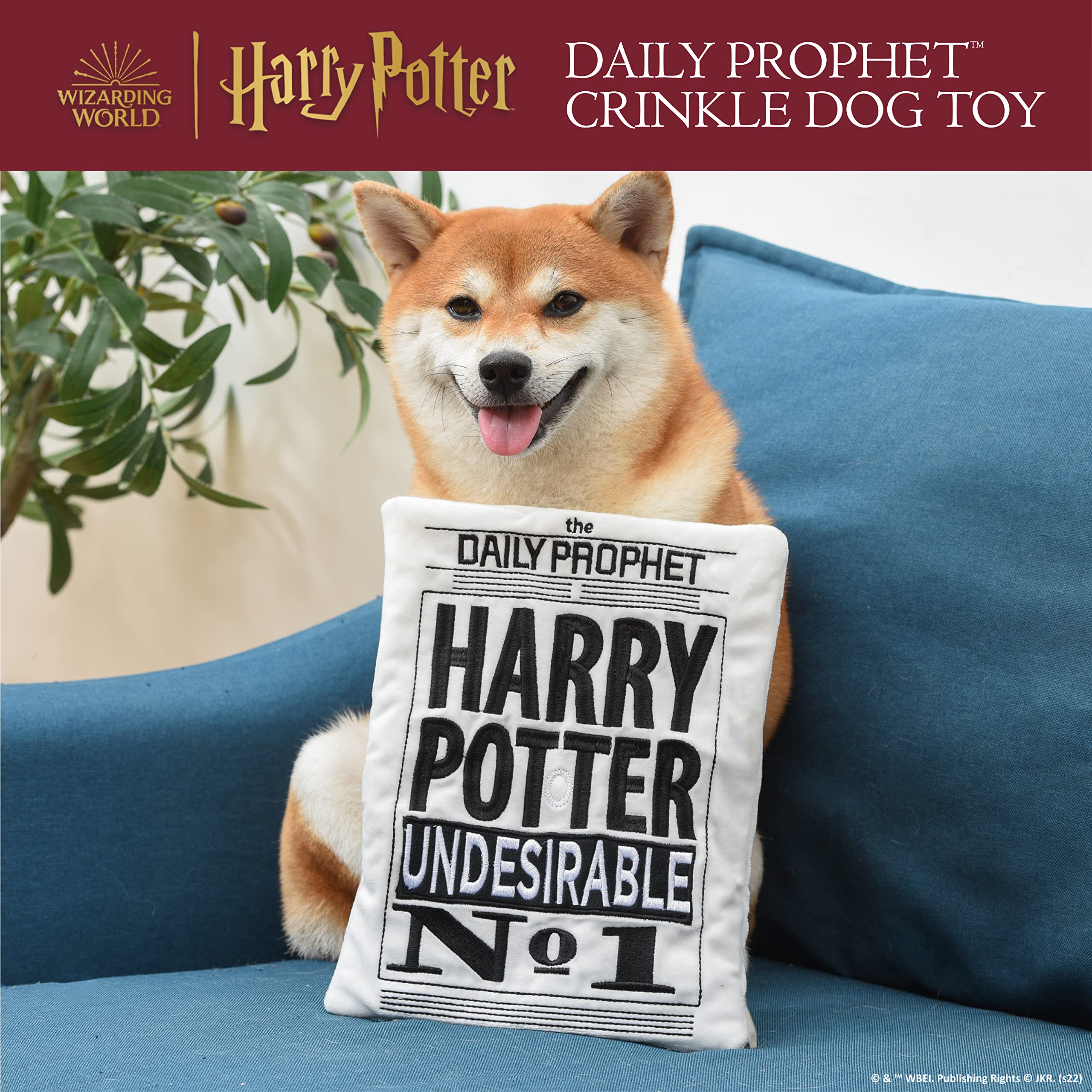 Harry Potter: Daily Prophet Newspaper Crinkle Pet Toy | Harry Potter Dog Toy Daily Prophet Newspaper Crinkle Toy For Pets | Dog