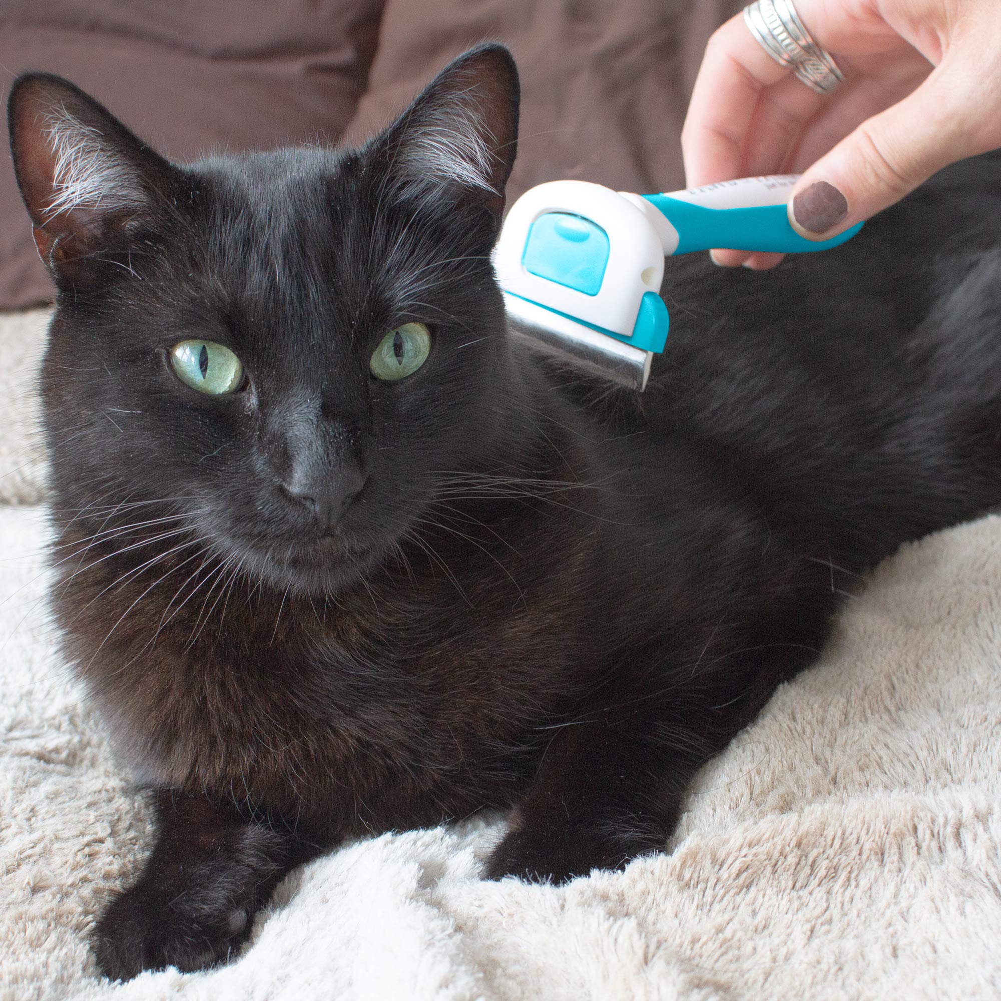 Paws & Pals Dog Brush - Gentle Soft Hair Rake Trimming Comb - Best For Shedding Dogs-Cats, Thick Long Short Haired Pet, Coat Grooming & Cat Hair Fur Removal - Self Cleaning - Deshedding Supplies