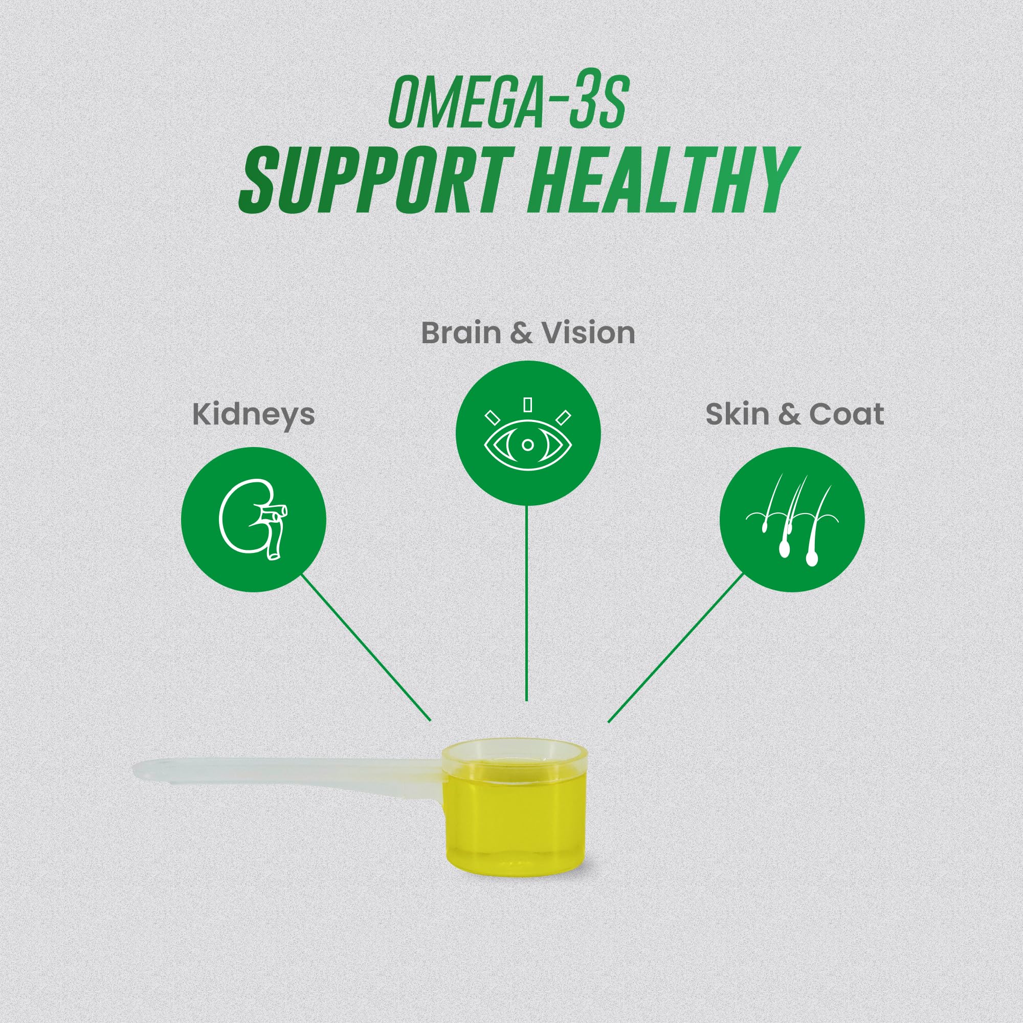 Nutramax Welactin Omega-3 Fish Oil Skin and Coat Health Supplement Liquid for Cats - 4 Ounce