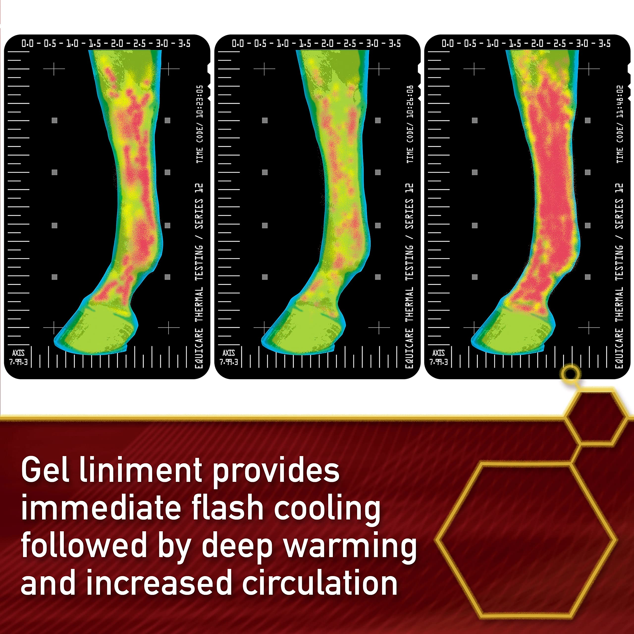 Vita Flex Thermaflex Liniment Gel for Horses - Sore Muscle & Joint Relief, 12 Ounce