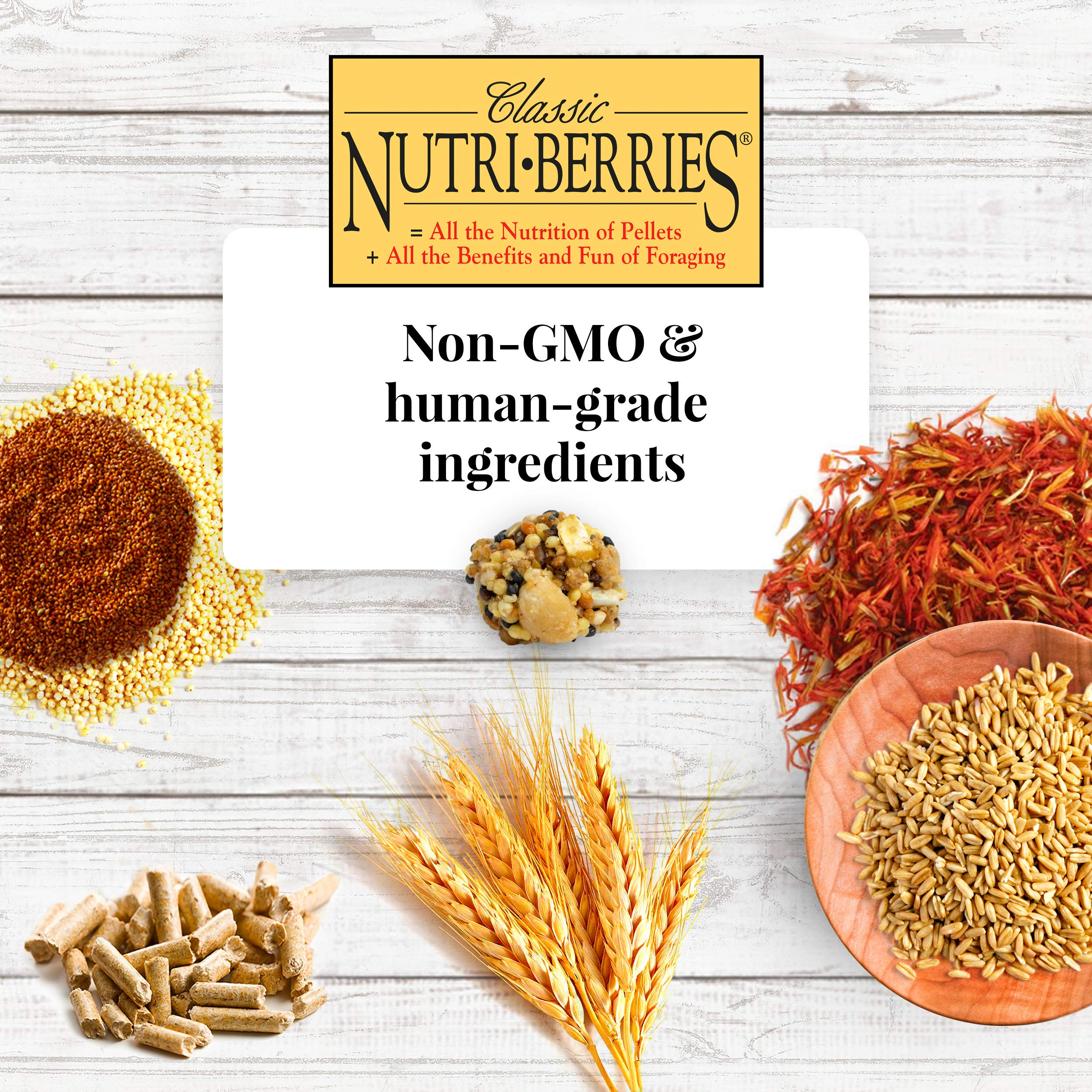 LAF 10.0OZ PAR NUTRI-BERRIE