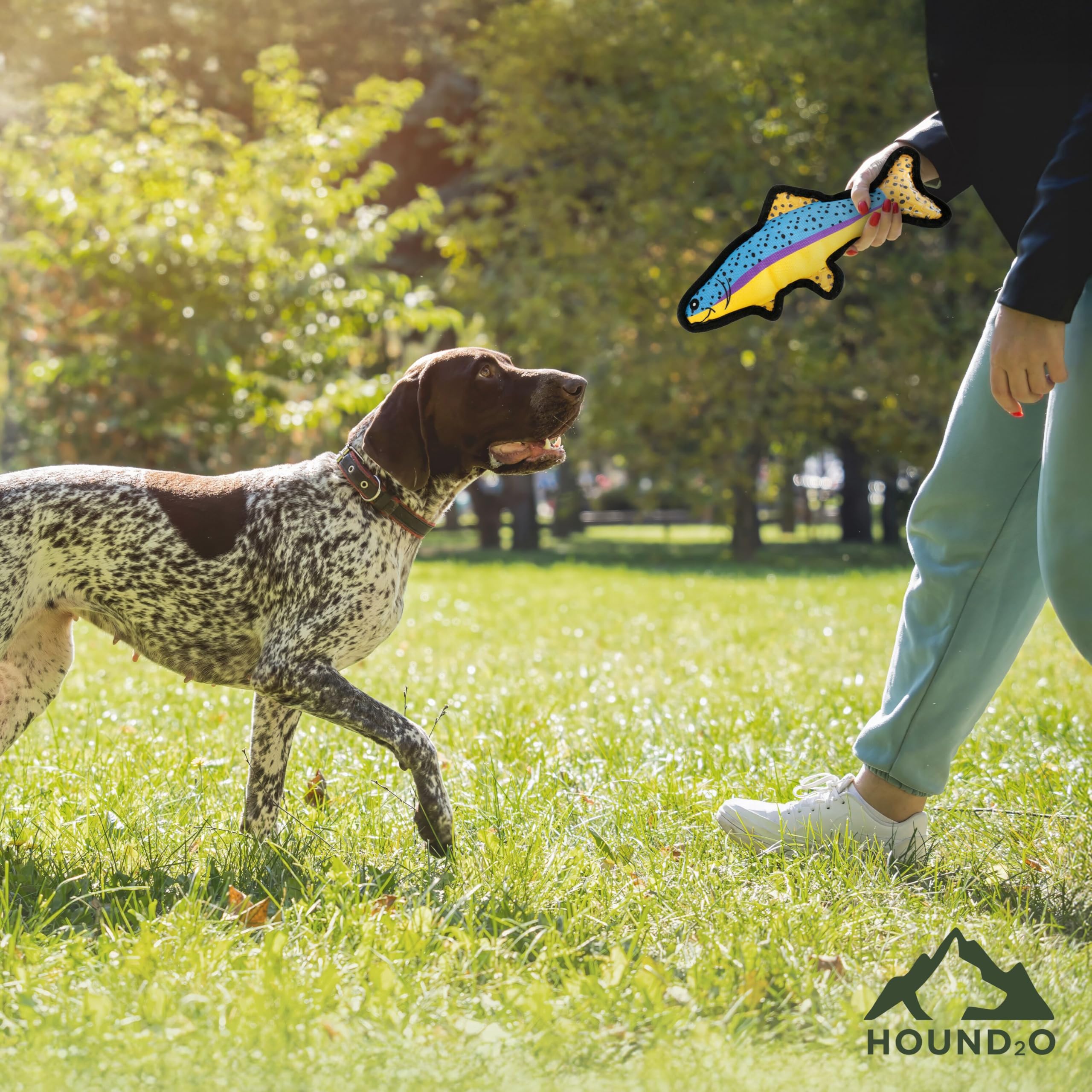 Hound2O Durable Plush Outdoor Toys For Dogs | Squeaky Bluegill & Trout 2-Pack | Value Pack Fishing Themed Dog Toys With Playful