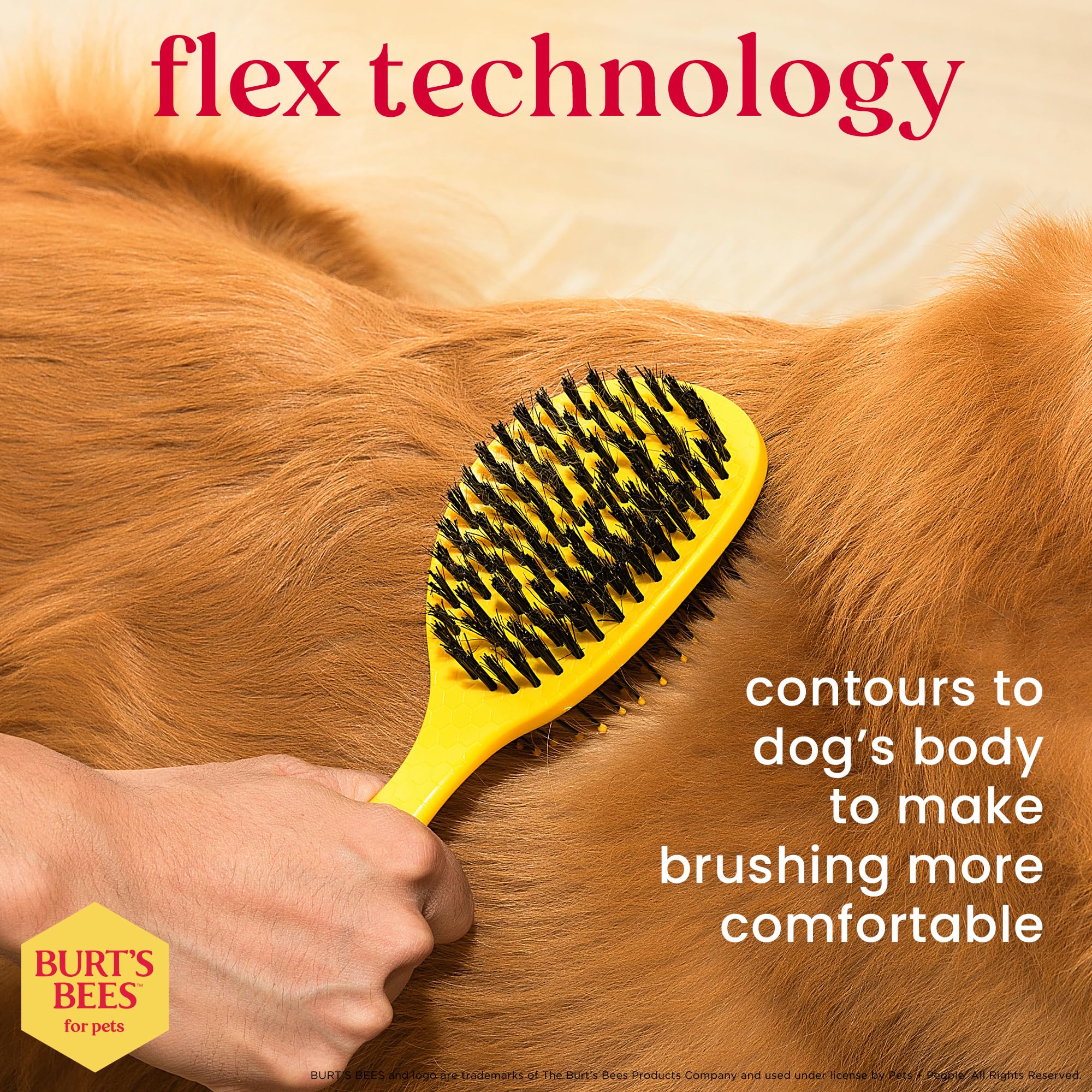 Burt'S Bees For Pets Double Sided Brush For Large Dogs With Handle Made From Recycled Plastics Collected From Coastal Communitie