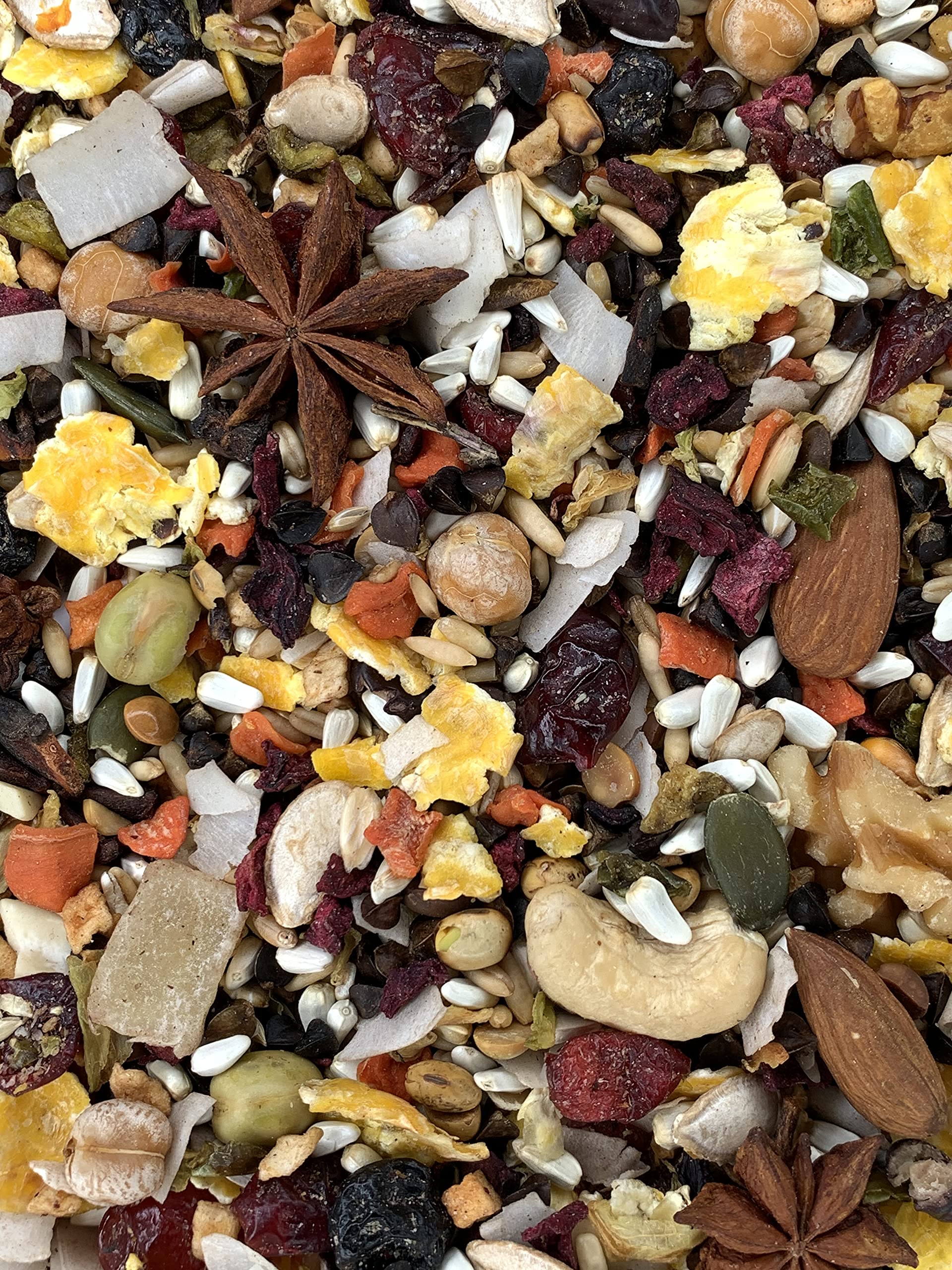 Versele-Laga Goldenfeast VL Central American Blend, 3 lb Bag, Natural