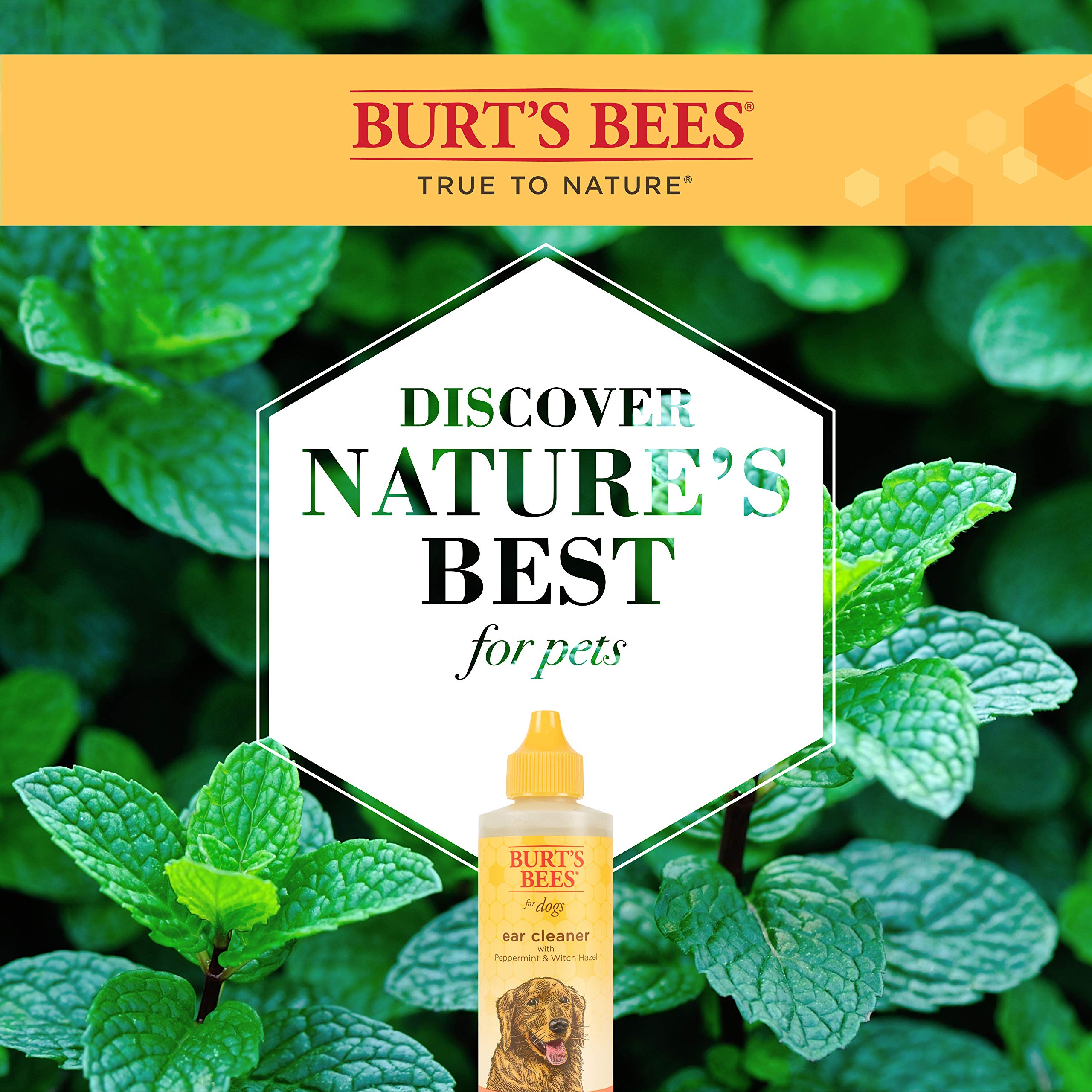 Burt'S Bees For Pets Ear Cleaner For Dogs With Pepeprmint And Witch Hazel, 99.7% Natural Origin Formulas, Dog Ear Cleaner, Ear Cleaning Solution For Dogs, 4 Oz