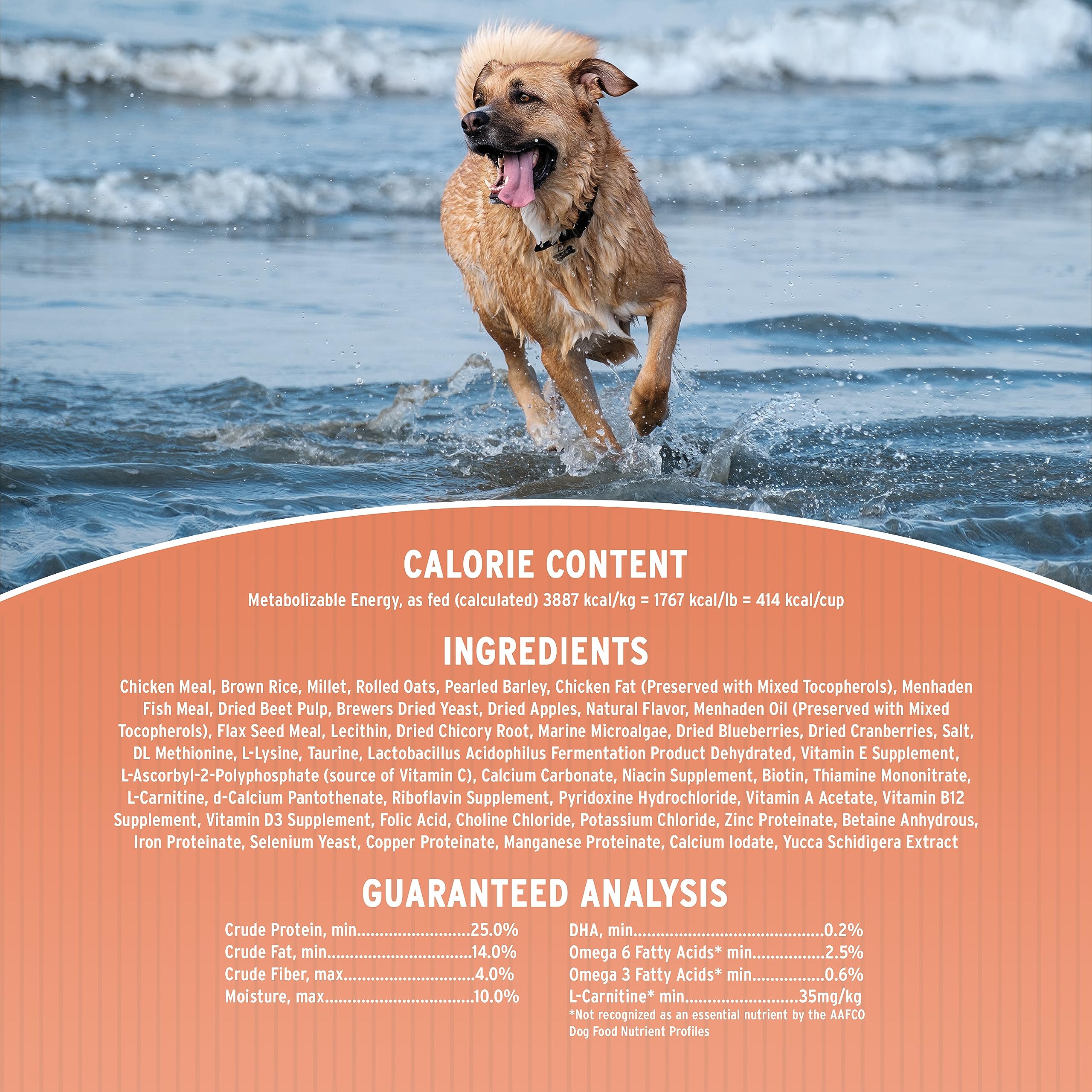 Annamaet Original Encore Formula Dry Dog Food, 25% Protein (Chicken & Brown Rice), 40-lb Bag