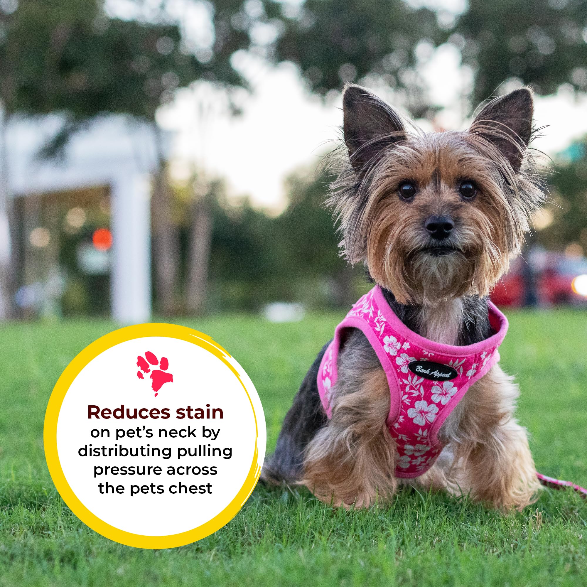 Bark Appeal Blue Stripe Step-in Dog Harness for Small-Medium Pets - Updated Sizing, Re-Measuring is Essential - Soft Vest Harnes