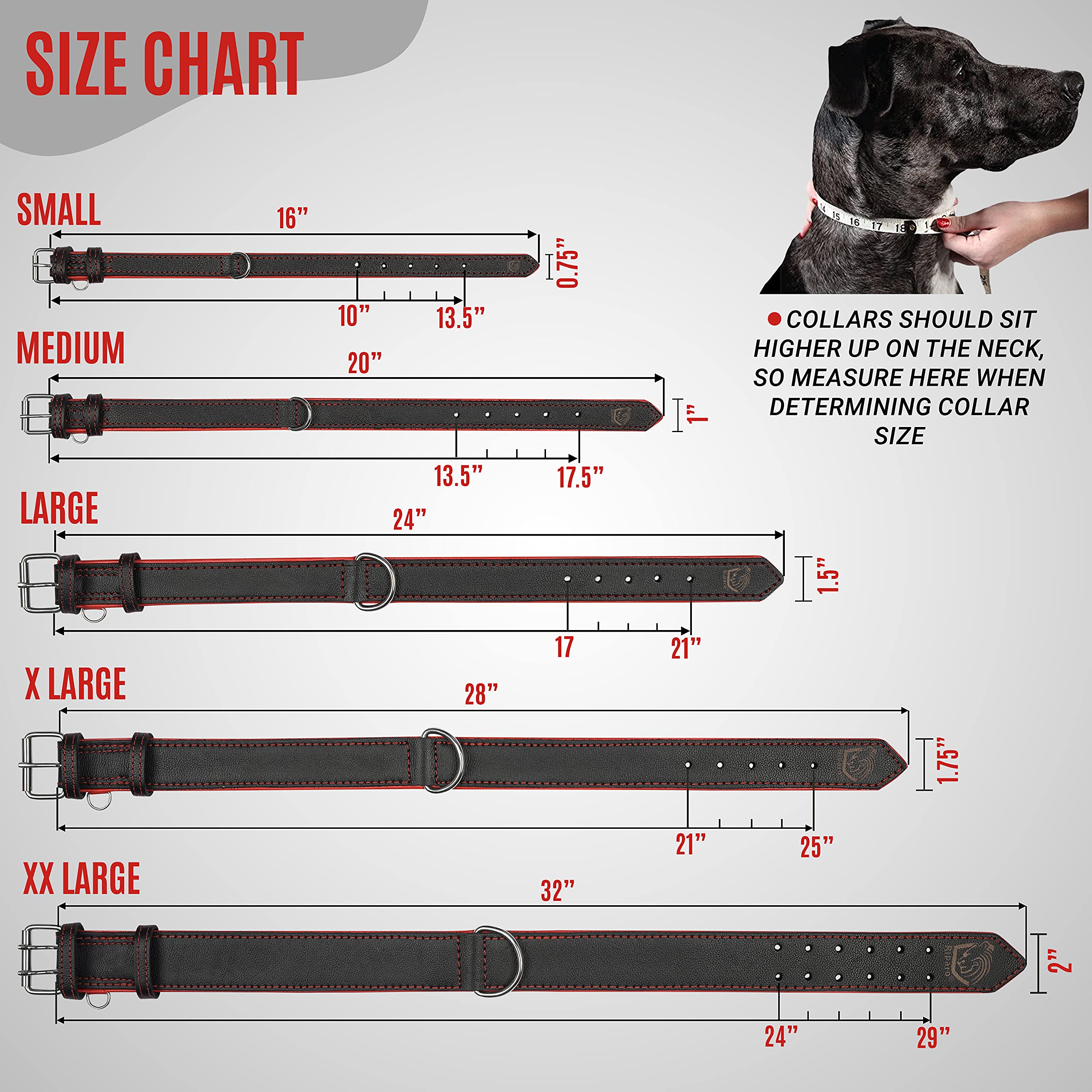 Riparo Genuine Leather Padded Dog Heavy Duty K-9 Adjustable Collar (S: 0.75    Wide For 10   -13.5    Neck, Black/Red Thread)