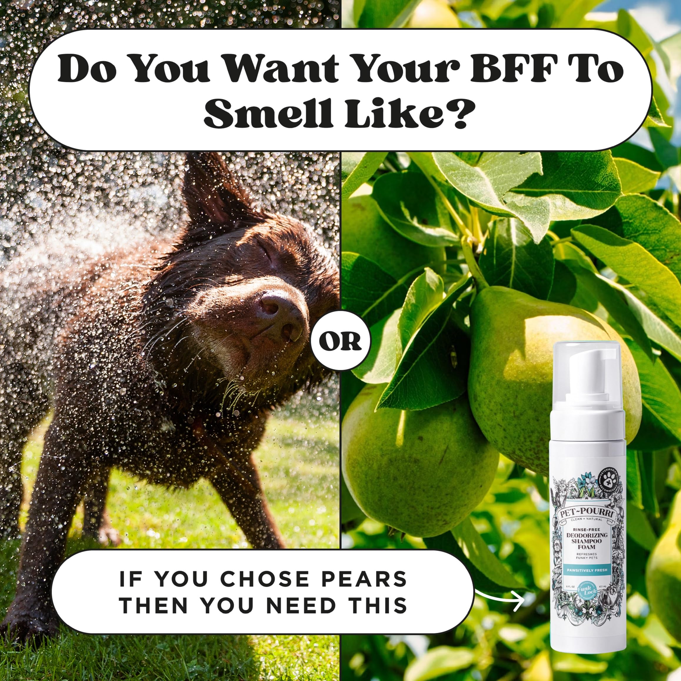 Pet-Pourri Rinse-Free Deodorizing Shampoo For Dogs & Cats - Moisturizing Skin & Coat Soothing Formula - Plant Based Ingredients