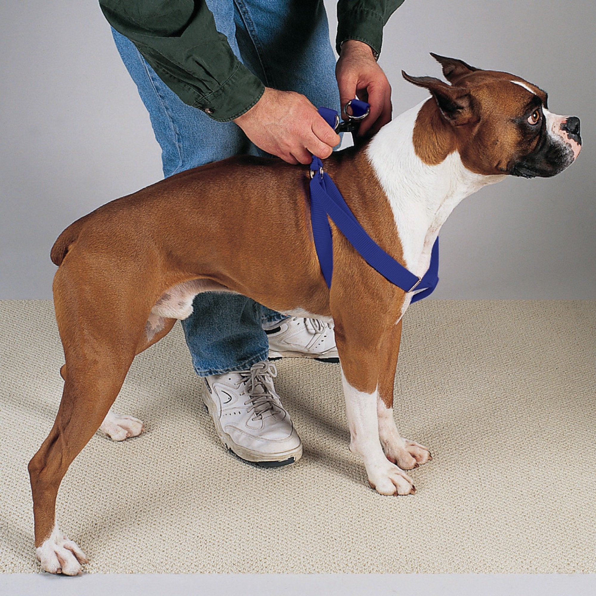 Guardian Gear 2 Step Pet Harness