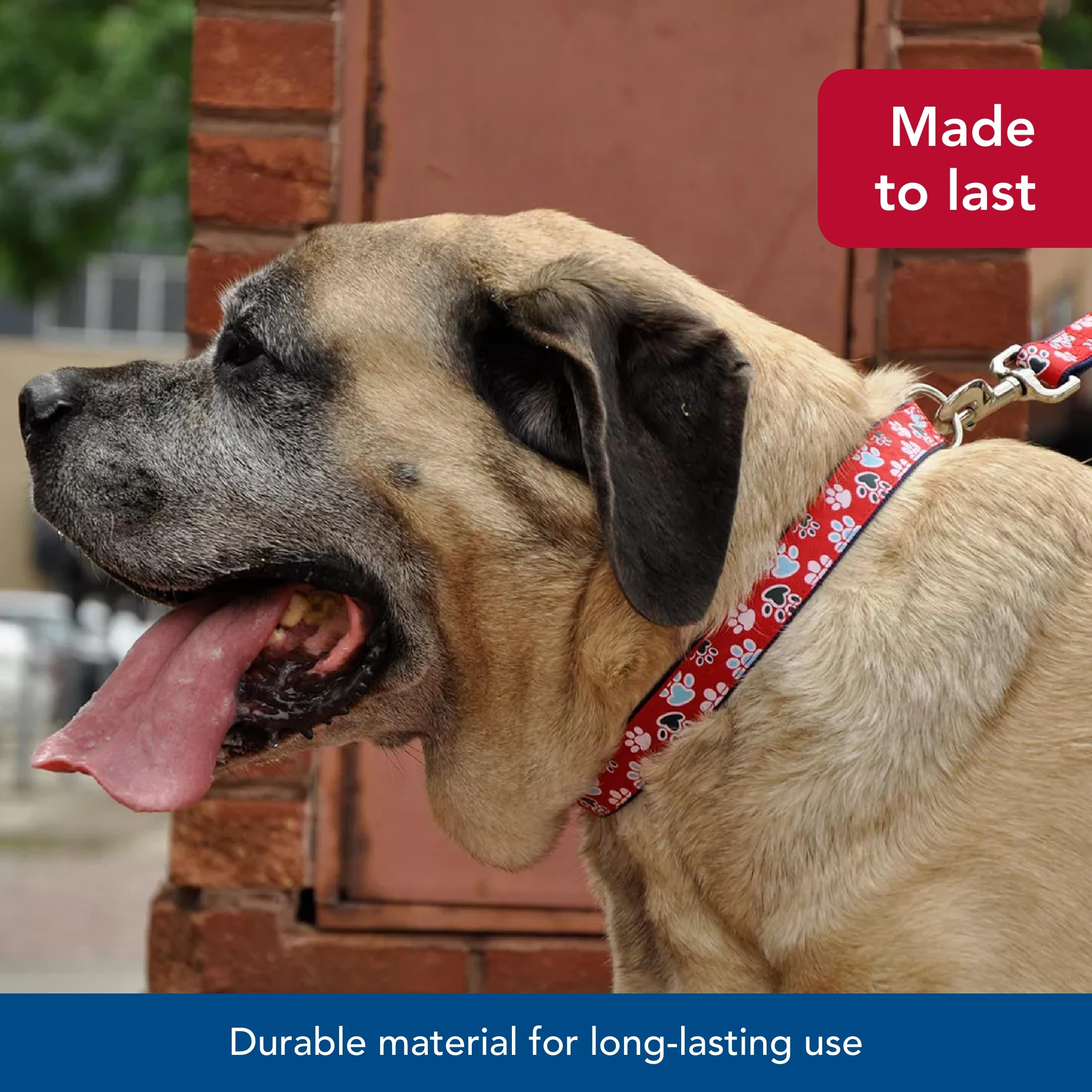 Coastal Pet - Ribbon - Adjustable Dog Collar With Metal Buckle, Red With Paws, 5/8' X 12'-18'