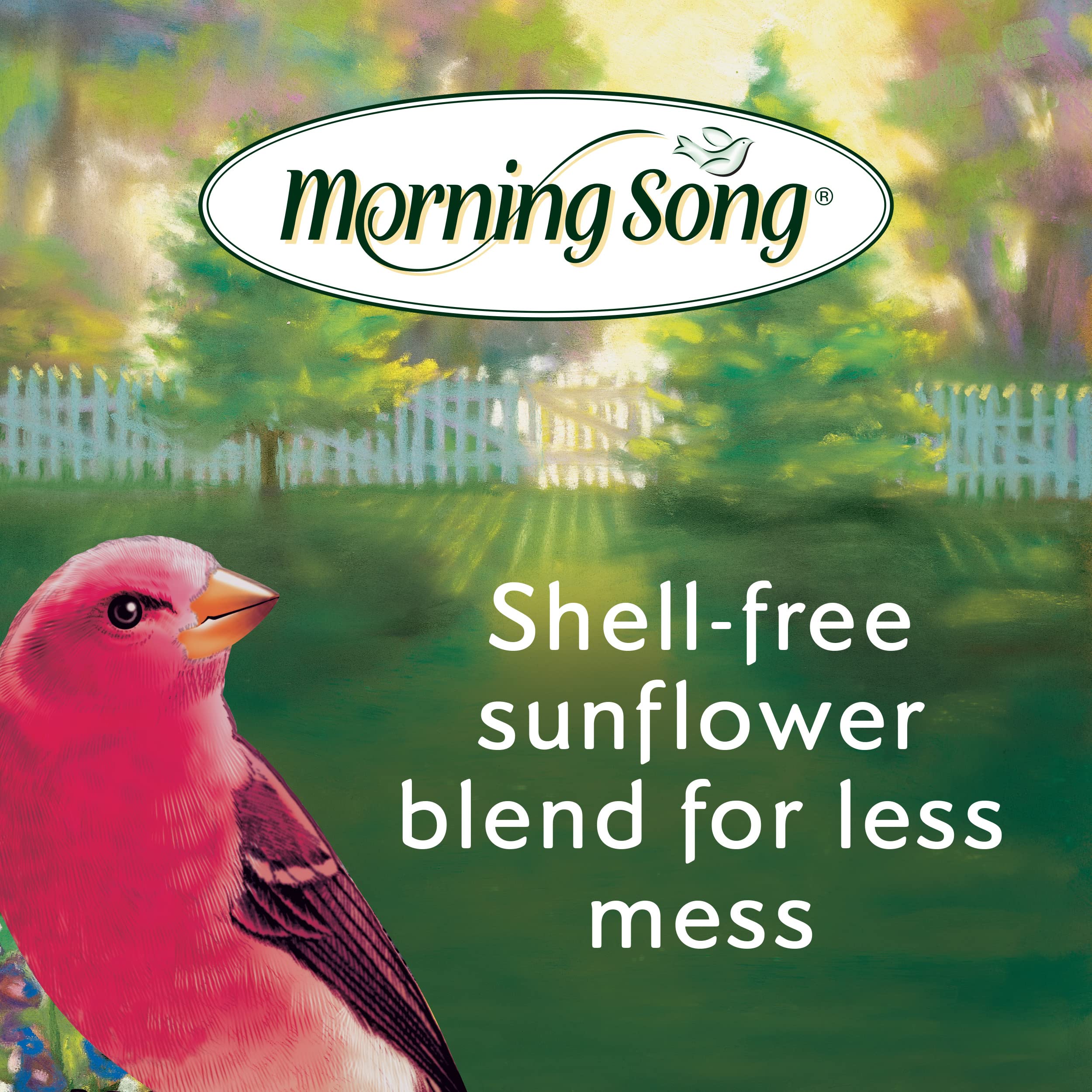 Morning Song Premium No Mess Wild Bird Food, 10-Pound Bag, Shell Free, Corn Ingredients