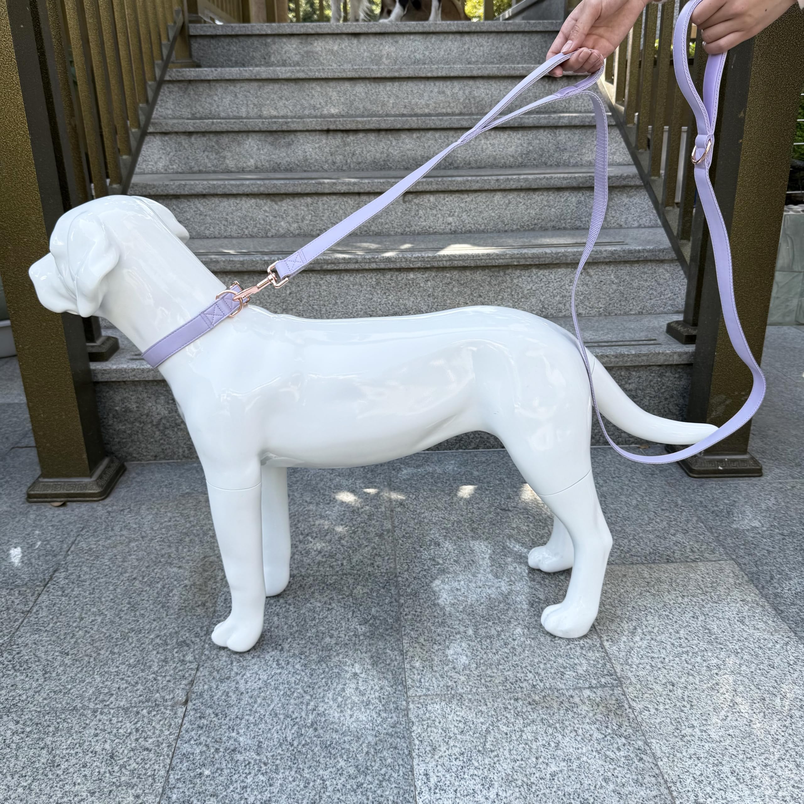 Dog Leash 6Ft Long,Traffic Padded Two Handle,Heavy Duty,Double Handles Lead For Control Safety Training,Leashes For Large Dogs O