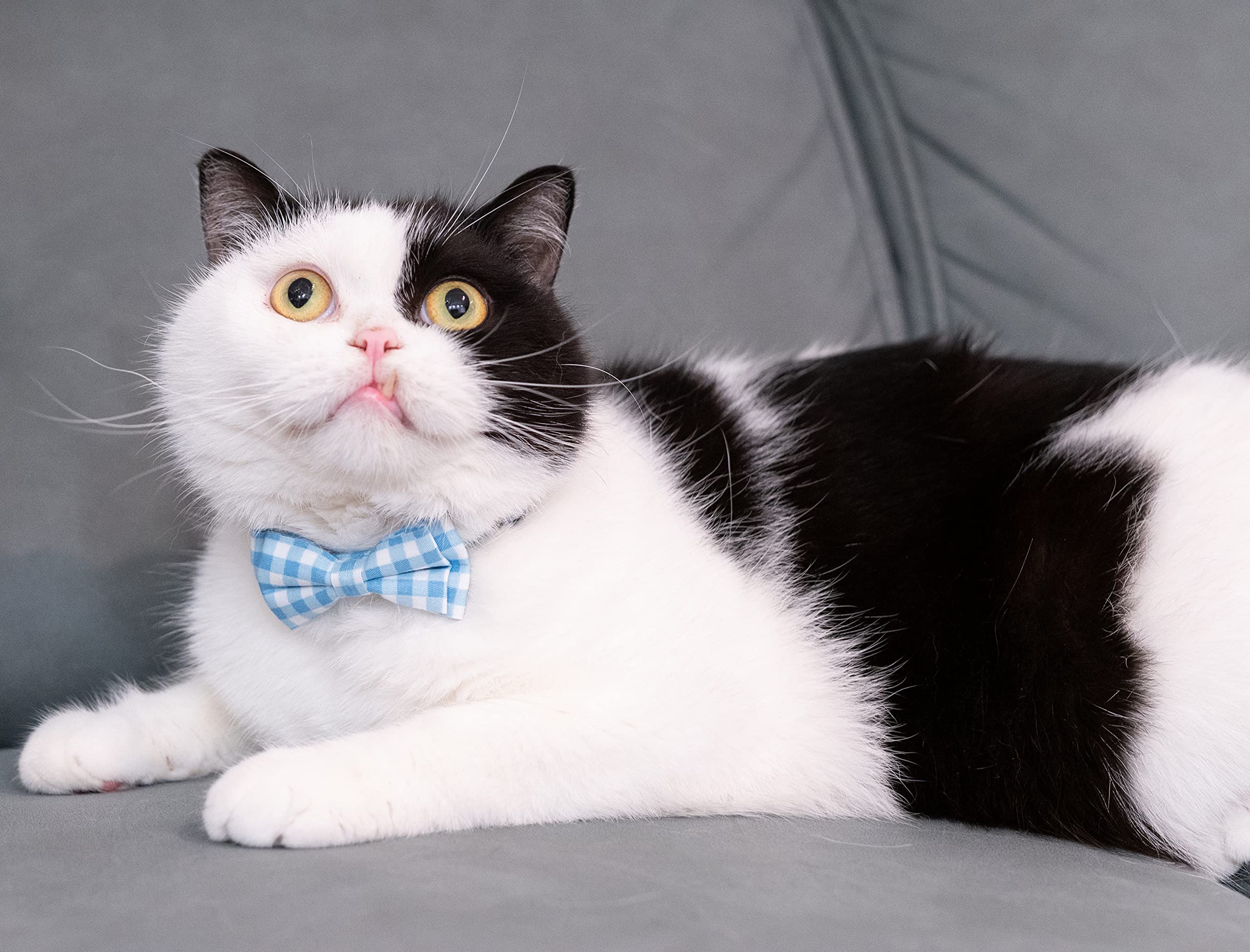 Gyapet Cat Collar Breakaway With Bell Boy Girl Kitten Bow Tie Safety Plaid Solid Color Set Cute Soft Summer [2Pcs] Blue