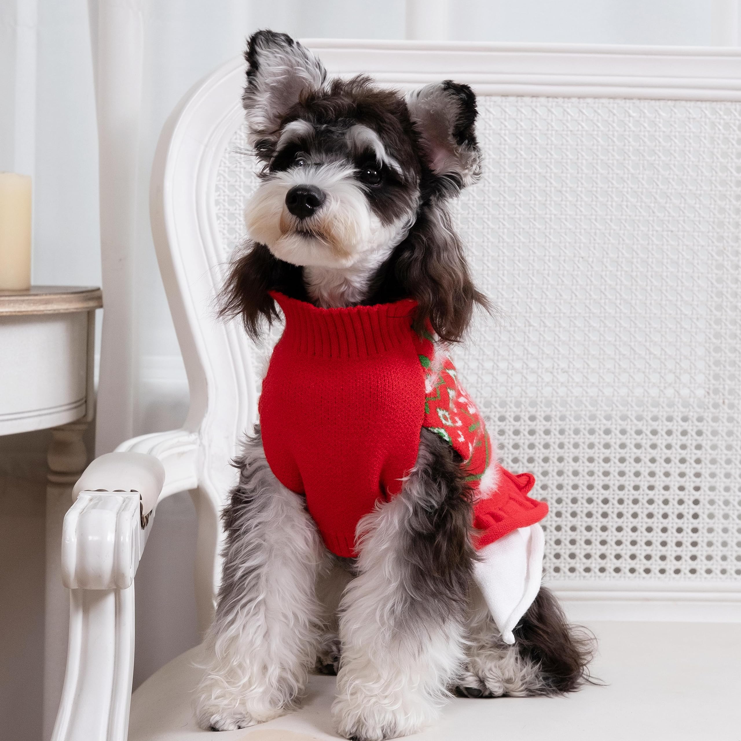 Cutebone Fancy Christmas Dog Sweater Dress, Soft And Stretchy Dog Clothes For Small Medium Dogs Girl, Christmas Snowflake Red Pu