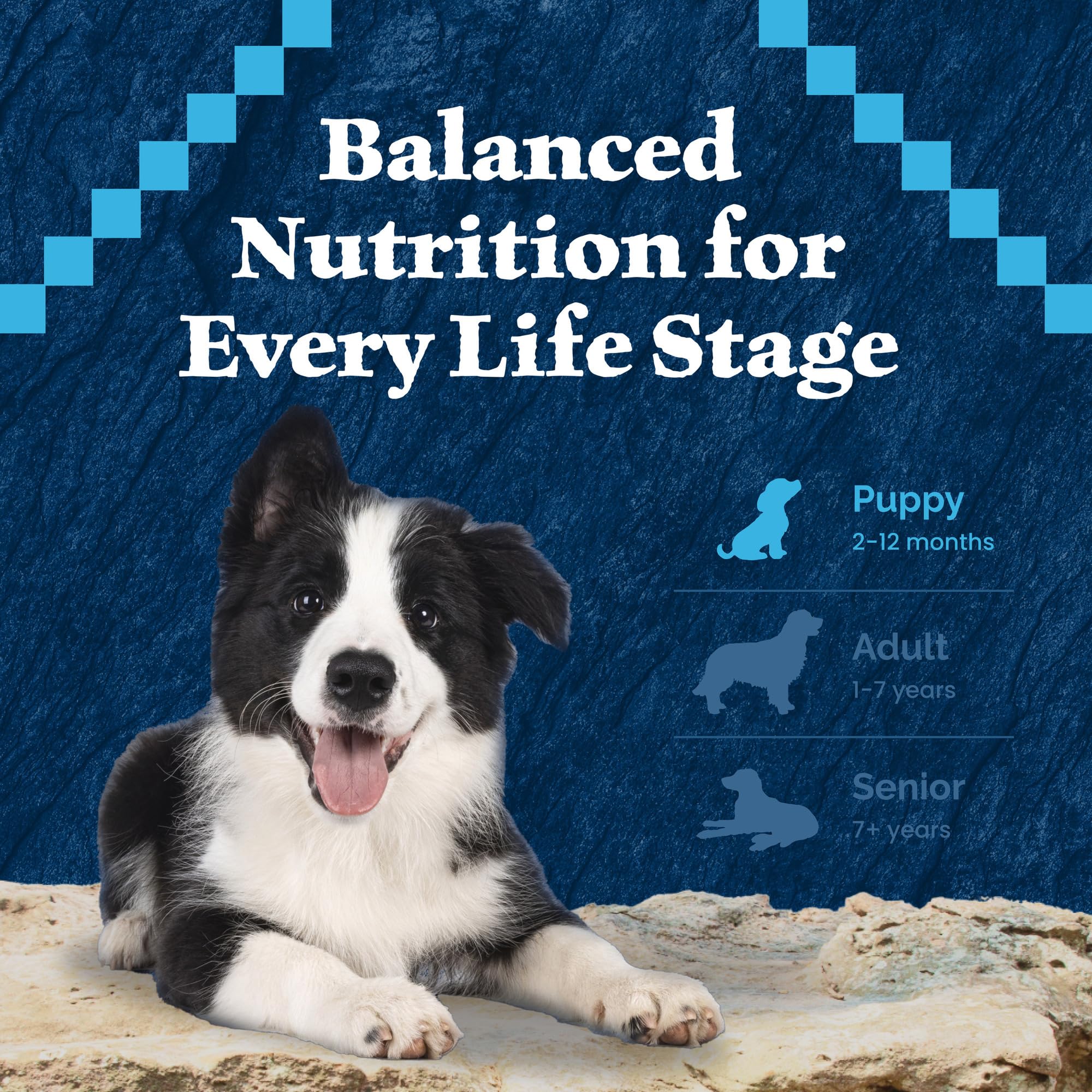 Blue Buffalo Wilderness Natural High-Protein & Grain-Free Wet Food for Puppies, Turkey & Chicken, 12.5-oz. Cans, 12 Count