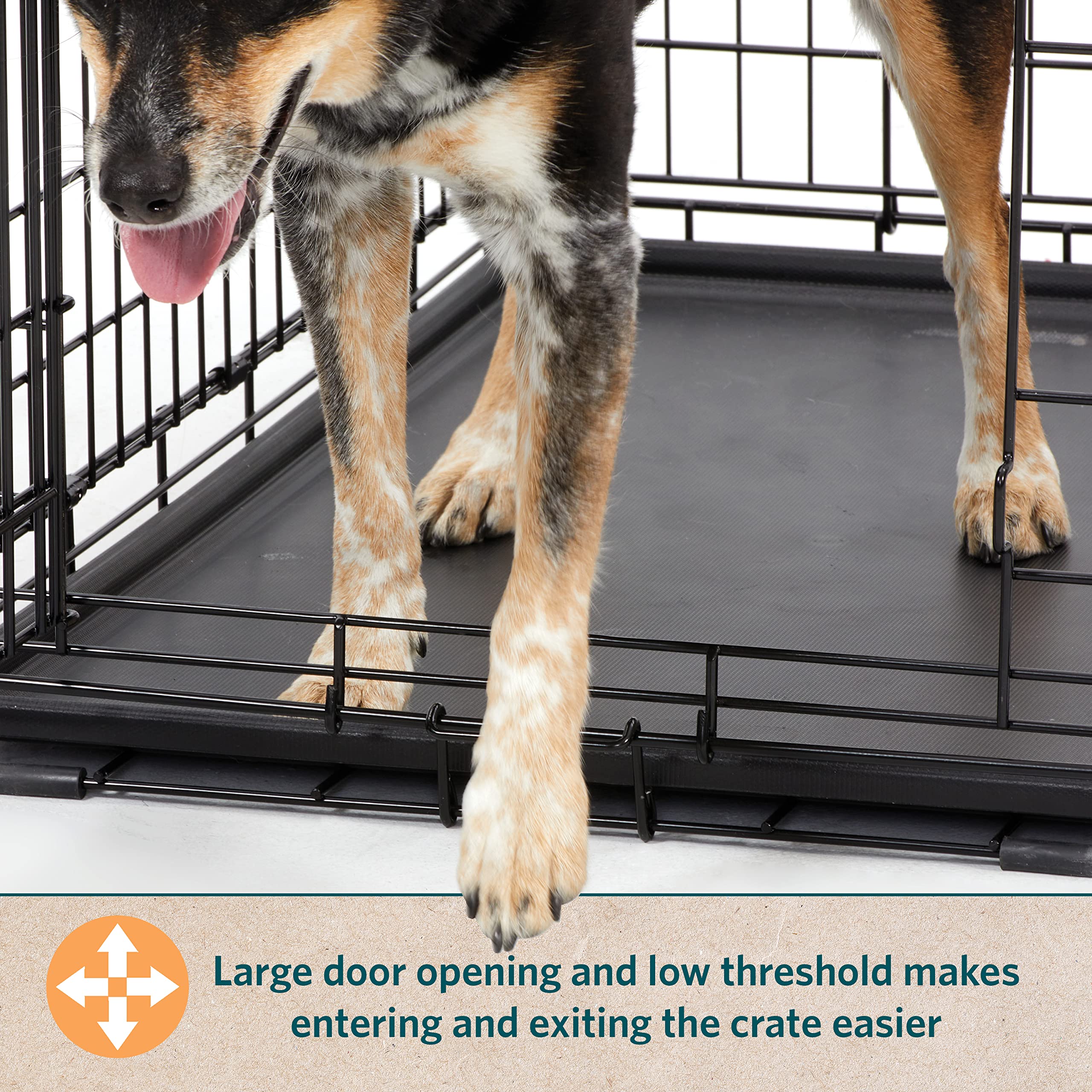 Midwest Homes For Pets Small Dog Crate | Life Stages 24' Folding Metal Crate | Divider Panel, Floor Protecting Feet, Leak-Proof Dog Pan | 24L X 18W X 19H Inches, Small Dog Breed