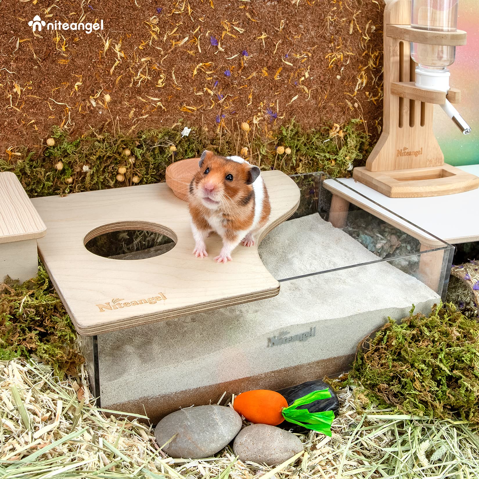Niteangel Small Animal Sand-Bath Box: - Acrylic Critter'S Sand Bath Shower Room & Digging Sand Container For Hamsters Mice Lemming Gerbils Or Other Small Pets (Rectangle, Birch-Wood)