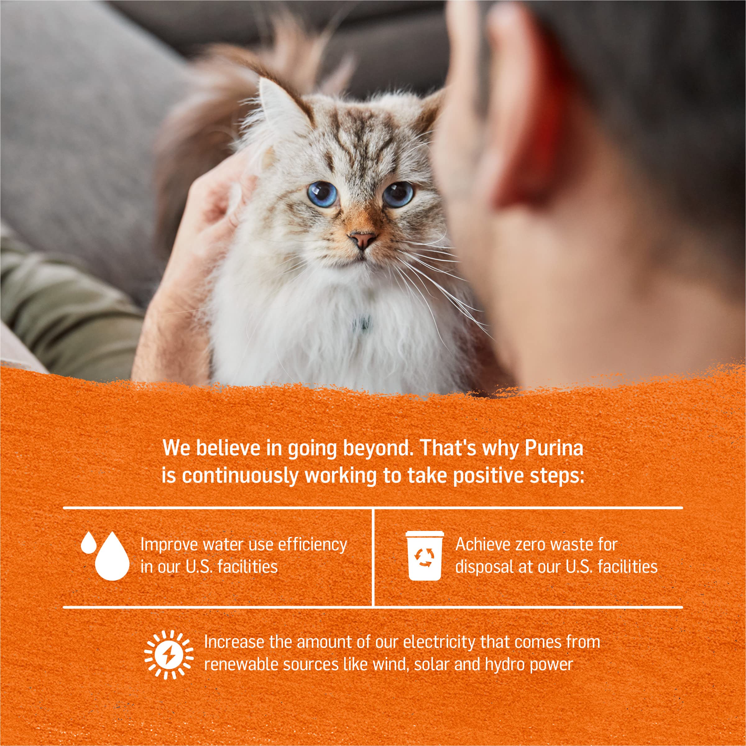 Purina Beyond Grain Free Wet Cat Food Pate - Chicken & Sweet Potato, 3 oz Cans (Pack of 12)