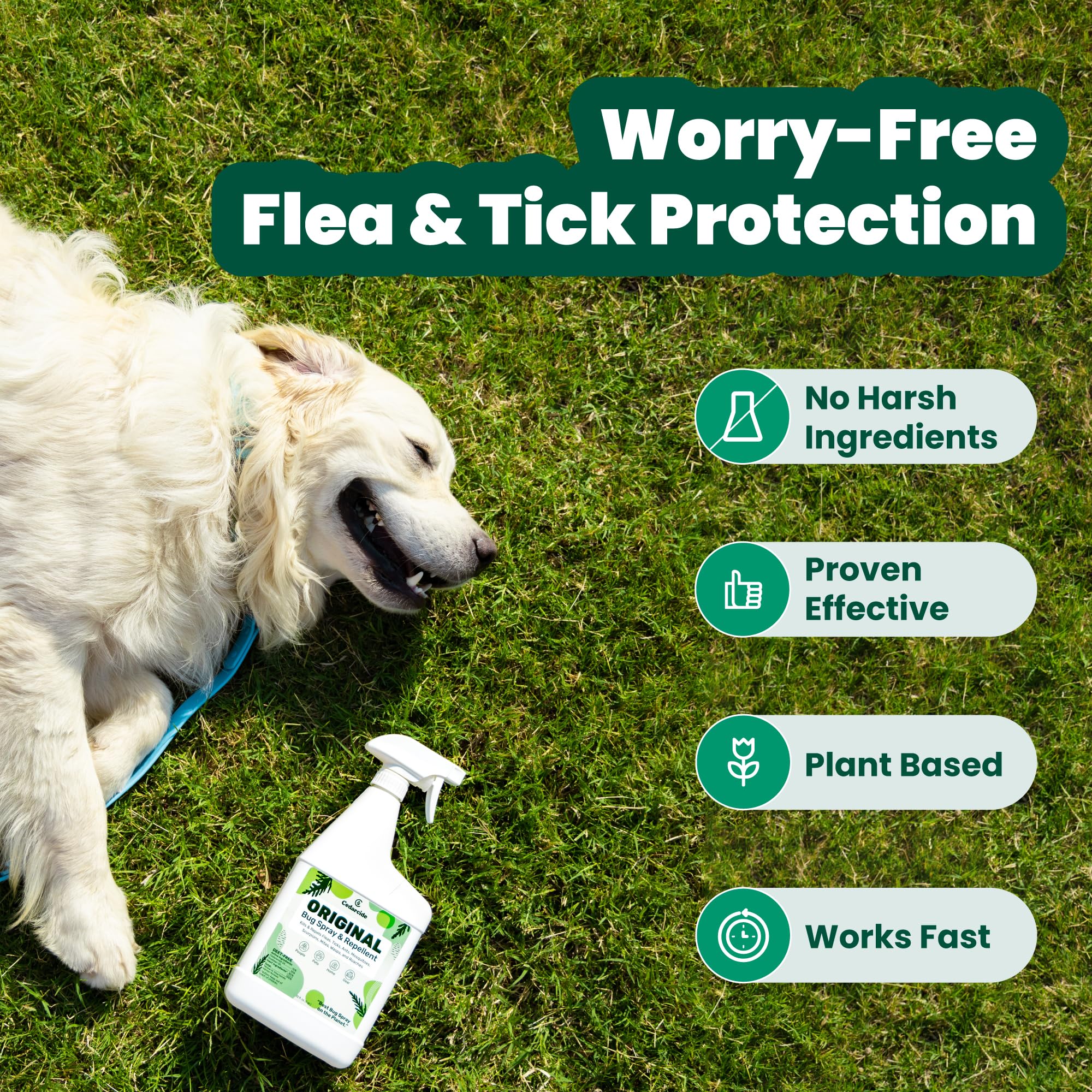 Cedarcide Original Bug Spray | Repel & Kill Fleas, Ticks, Mosquitoes, Mites, Ants & Chiggers | for use on People, Pets & Home |