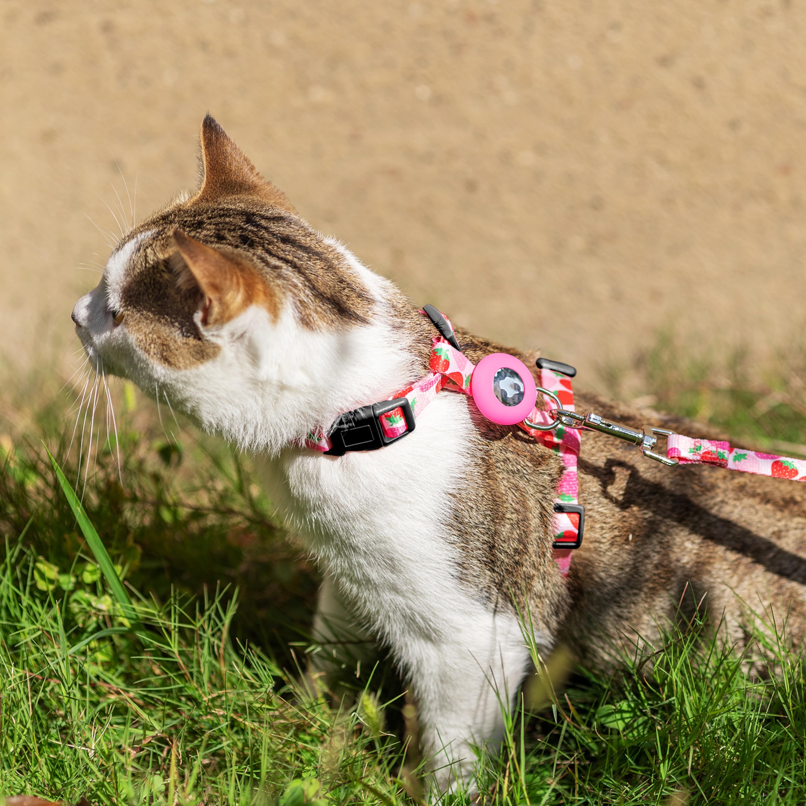 Cat Harness And Leash Escape Proof For Walking Travel Outdoor - Cute Strawberry Nylon Adjustable Cute Cat Harness Leash Set With