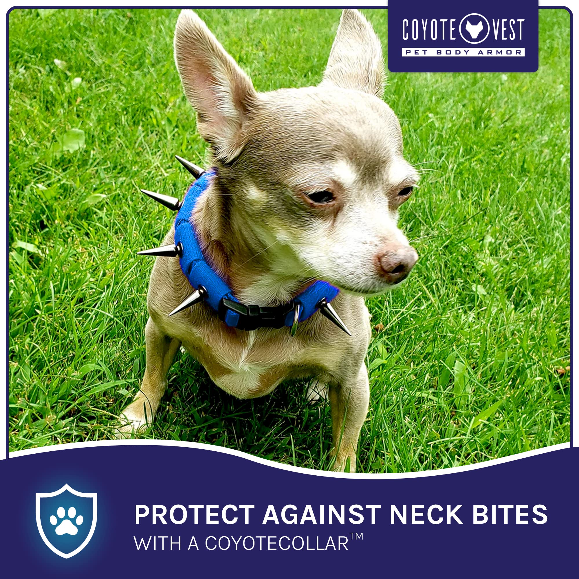 Coyotecollar Spiked Dog Collar - Blue Small Spike Collar For Dogs, Adjustable Spiked Collar, Studded Dog Spike Collar, And Coyot