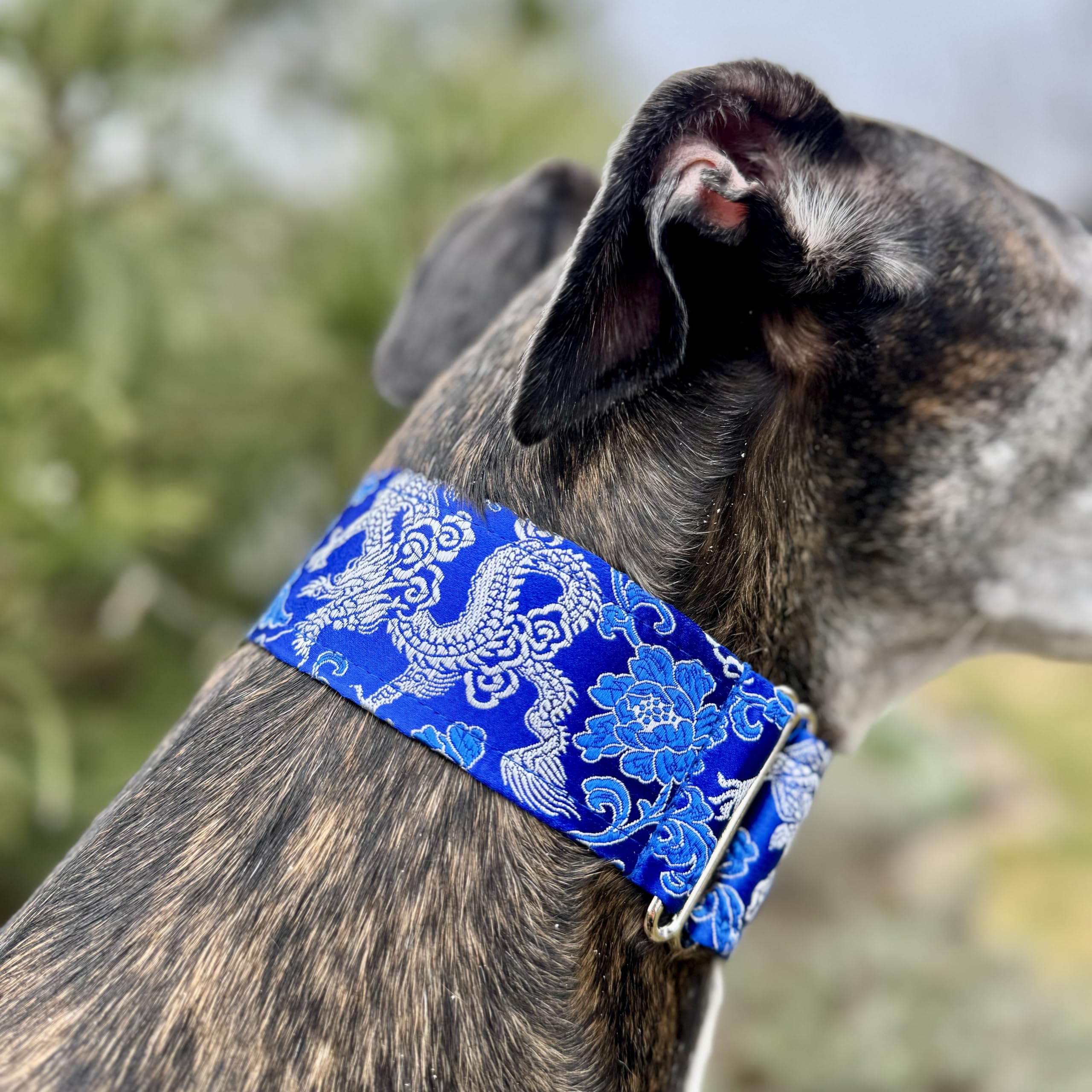 Extra Soft Martingale Dog Collar For Greyhound Saluki Whippet And Other Breeds With Similar Neck 2'' Wide (L 14''-18'')