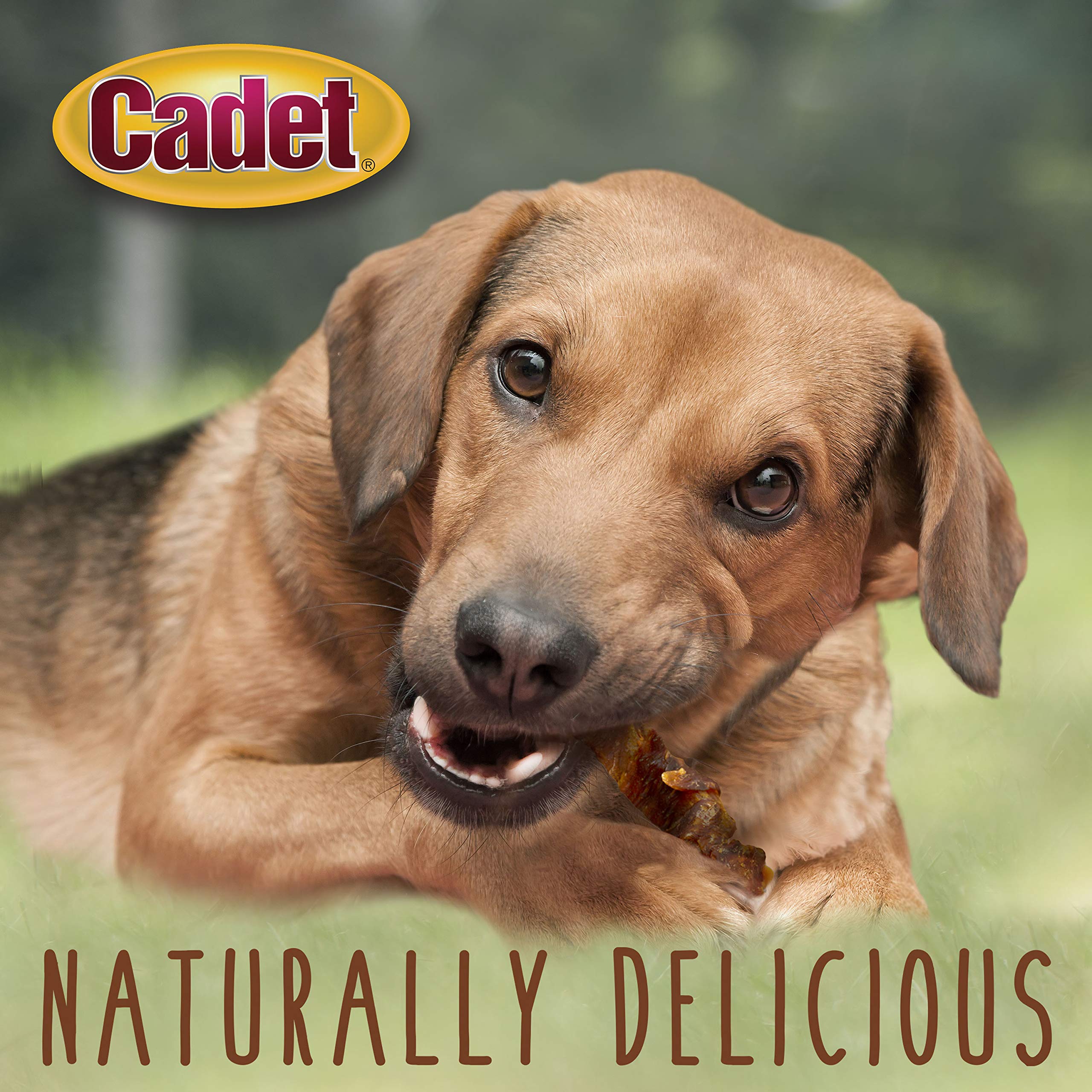 Cadet Gourmet Sweet Potato & Chicken Wraps Dog Treats - Healthy and Natural Chicken and Sweet Potato Dog Training Treats for Sma