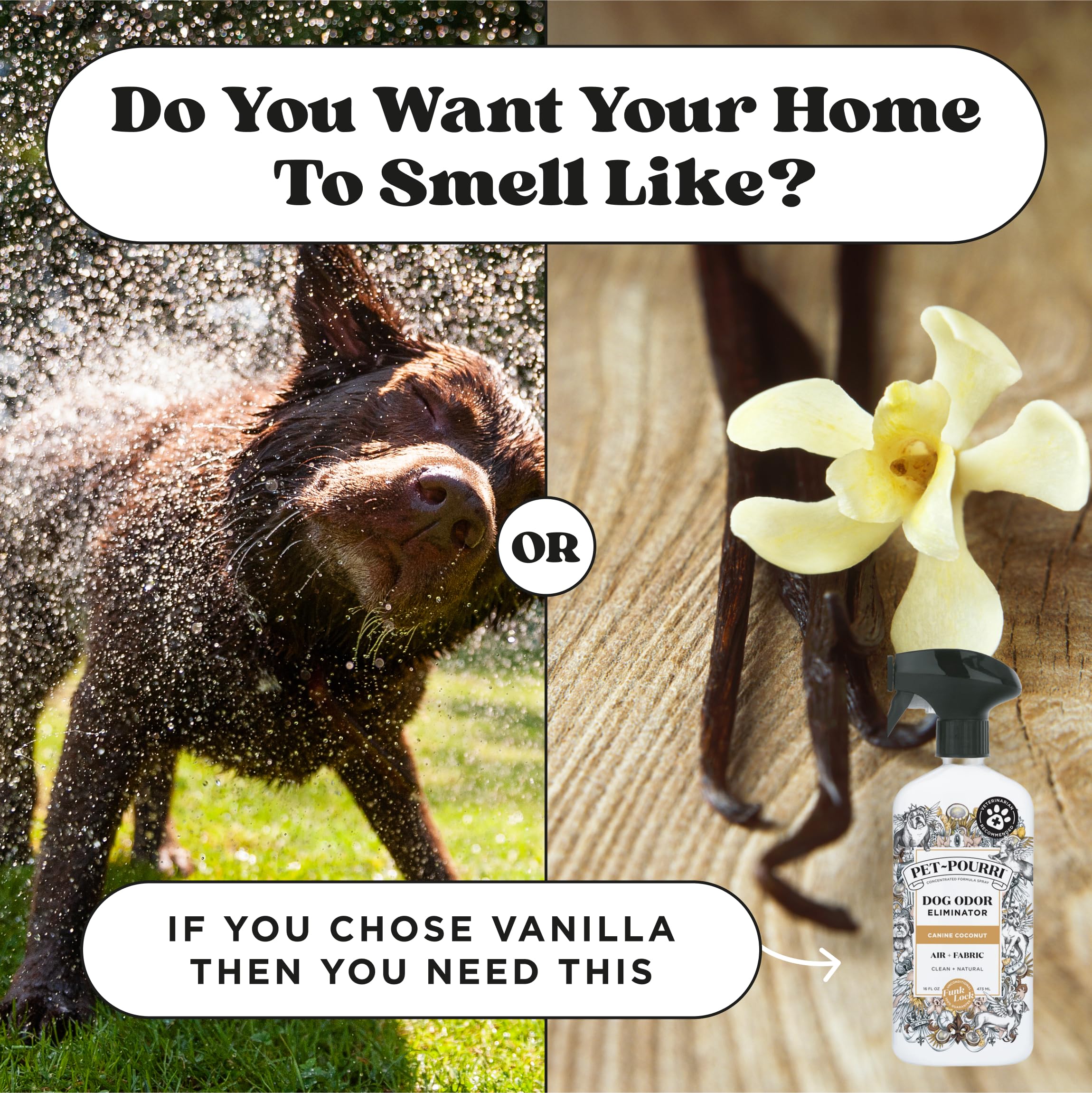 Pet-Pourri Pet Odor Air + Fabric Odor Eliminator Spray, Canine Coconut, 16 Fl Oz