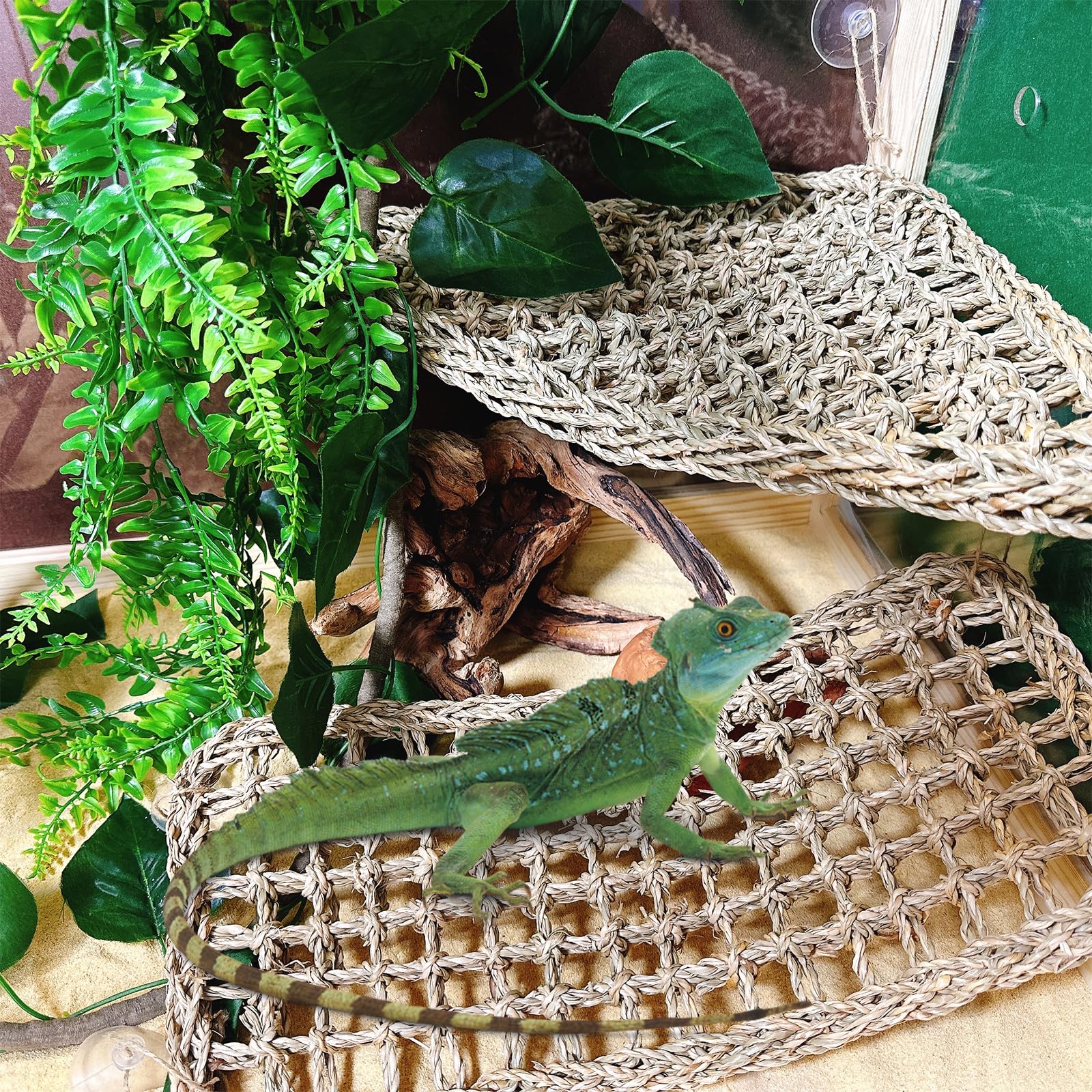 6Pcs Bearded Dragon Hammock Lizard Natural Seagrass Hammock Reptile Jungle Climbing Vines And Leaves With Suction Cups Habitat Décor Tank Accessories For Hiding& Climbing Snake Gecko Bird Chameleon